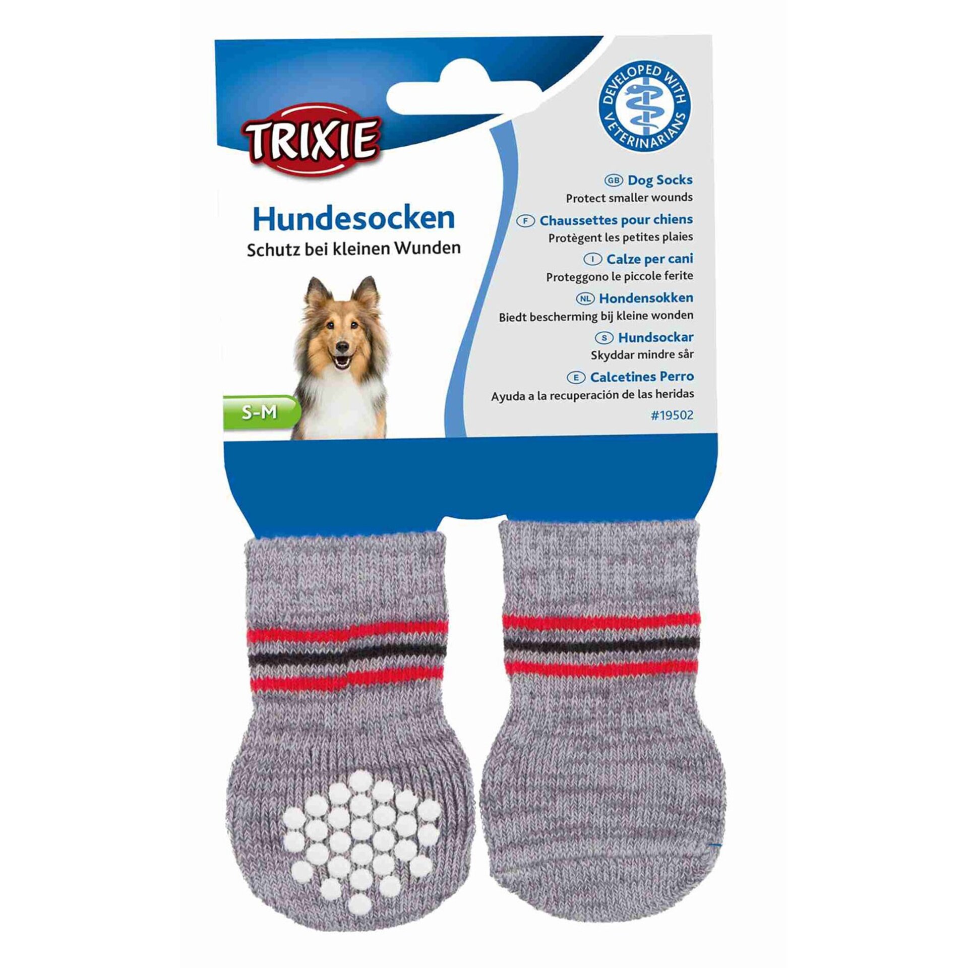 Calcetines Perro Gris/Rayas - 4