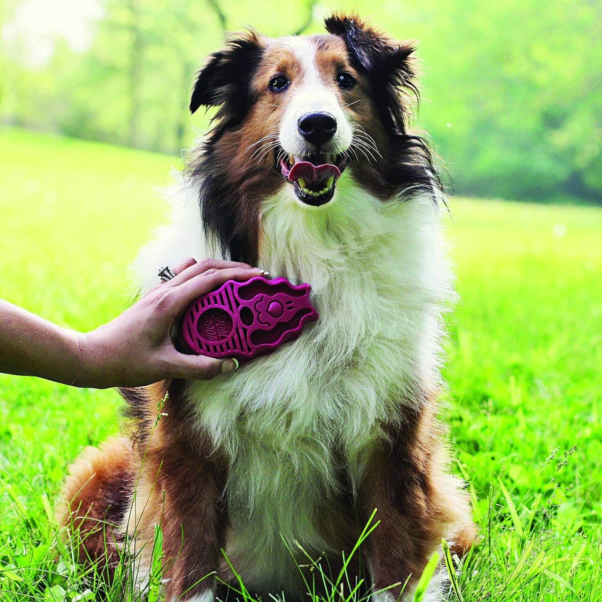Cepillo De Goma Kong Para Perros Zoom Groom Rojo Y Azul - 4