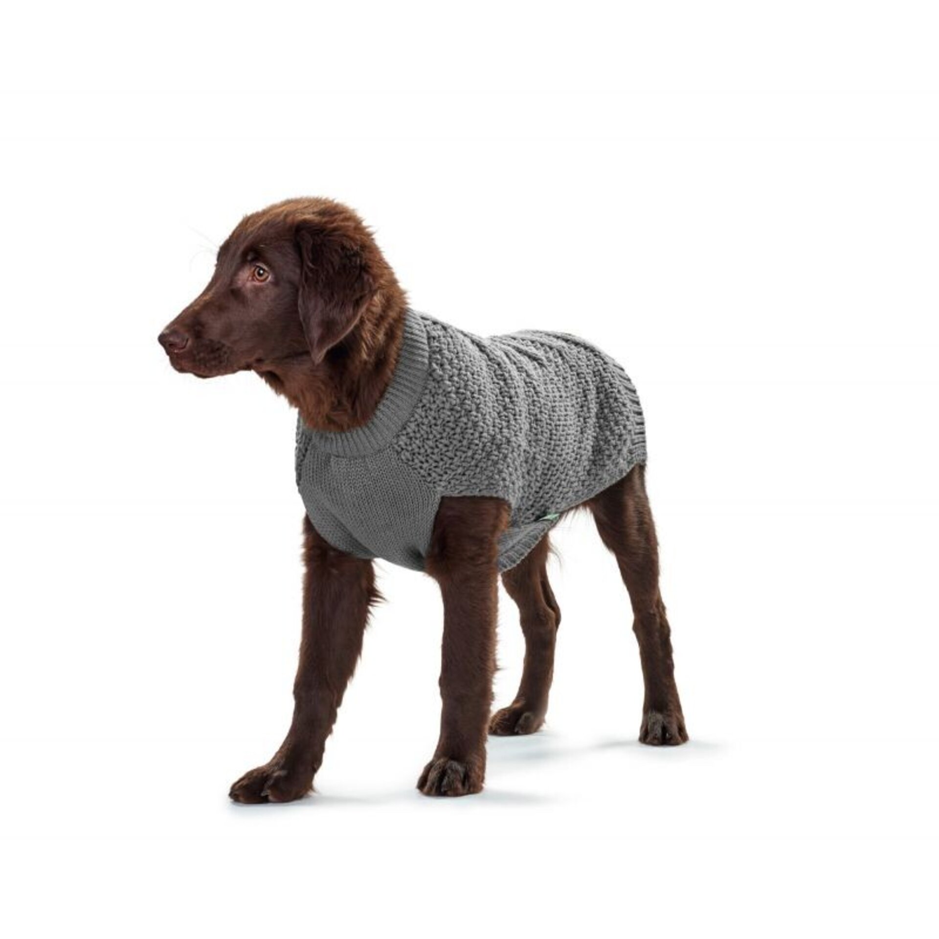 Pullover Dog Malmo Hunter - 4