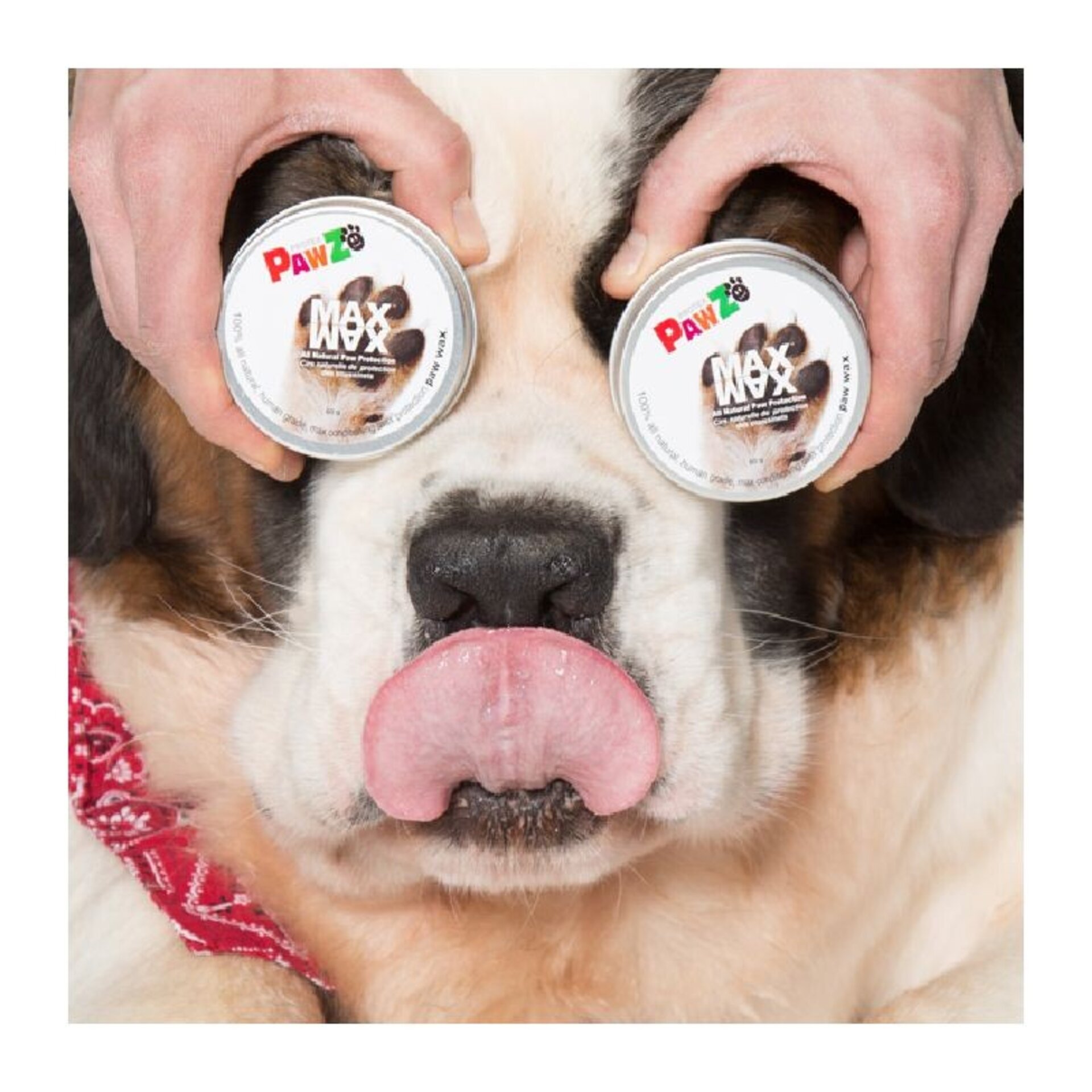 Pawz MaxWax - 8