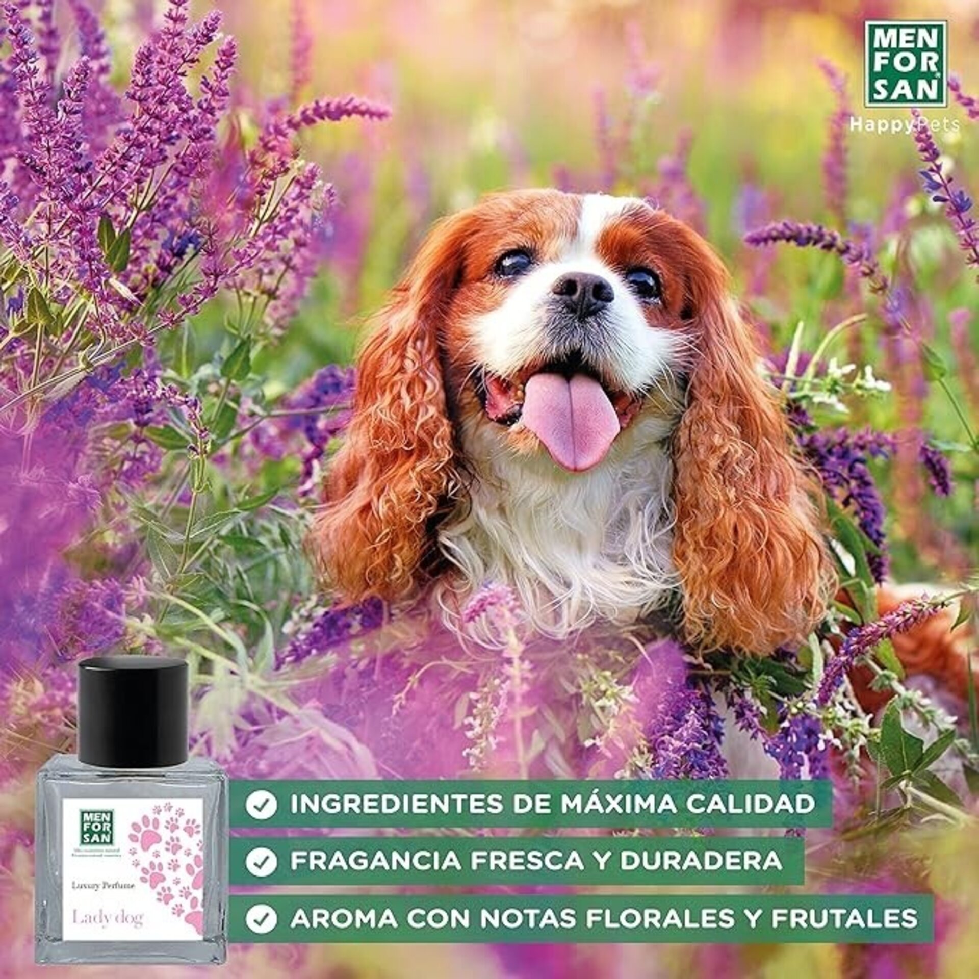 Perfume Men For San Perros - 2