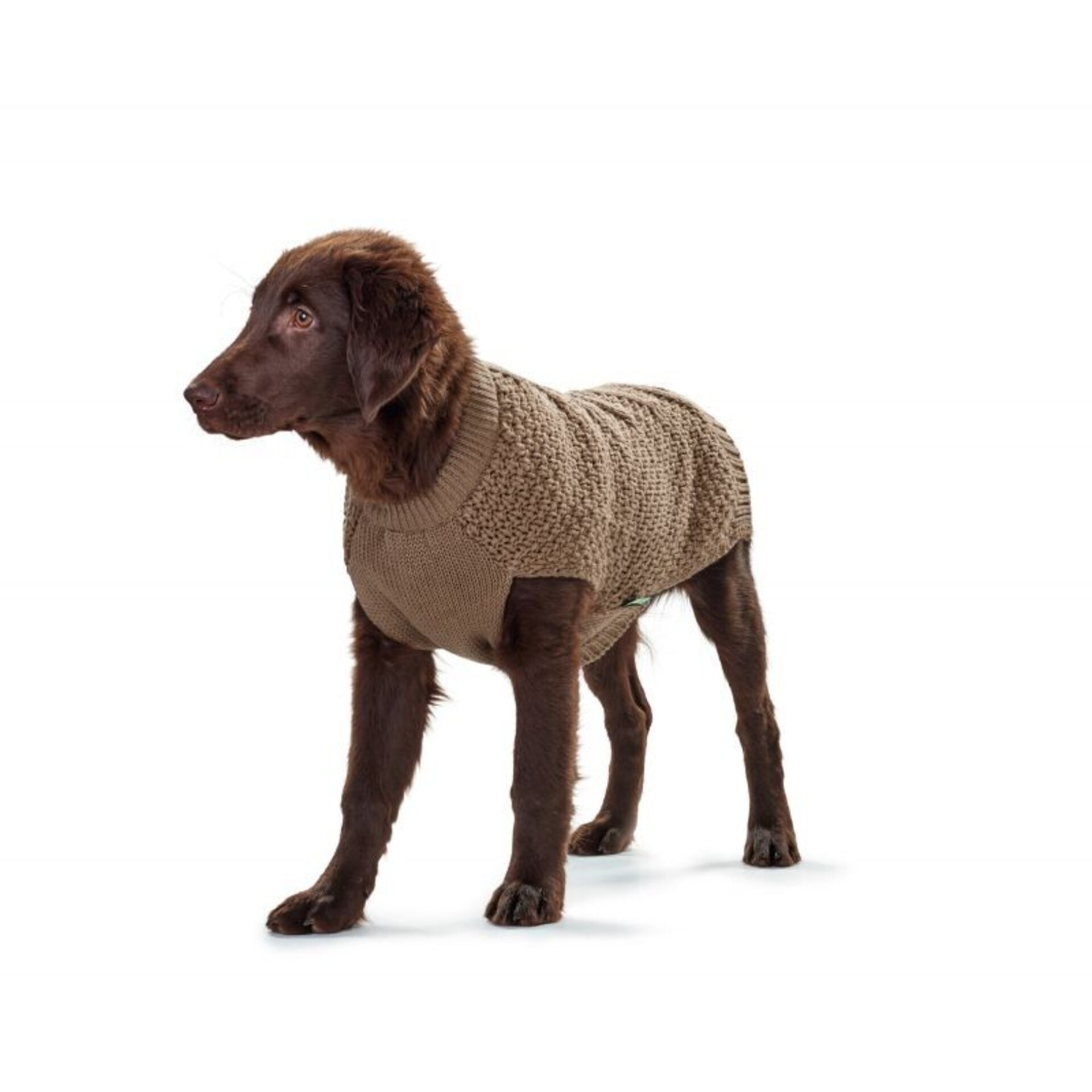 Pullover Dog Malmo Hunter - 6