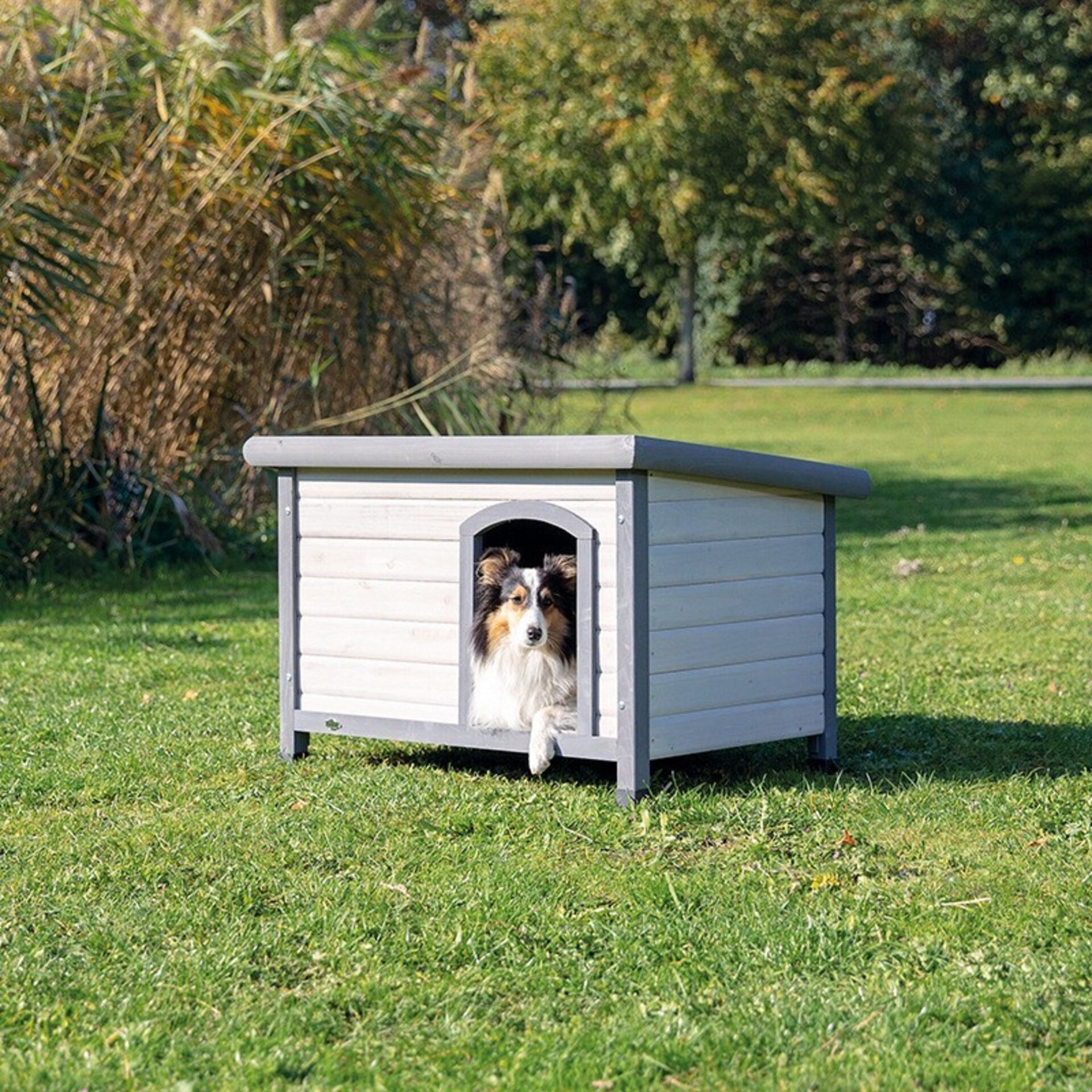 Caseta Perros Classic - 1