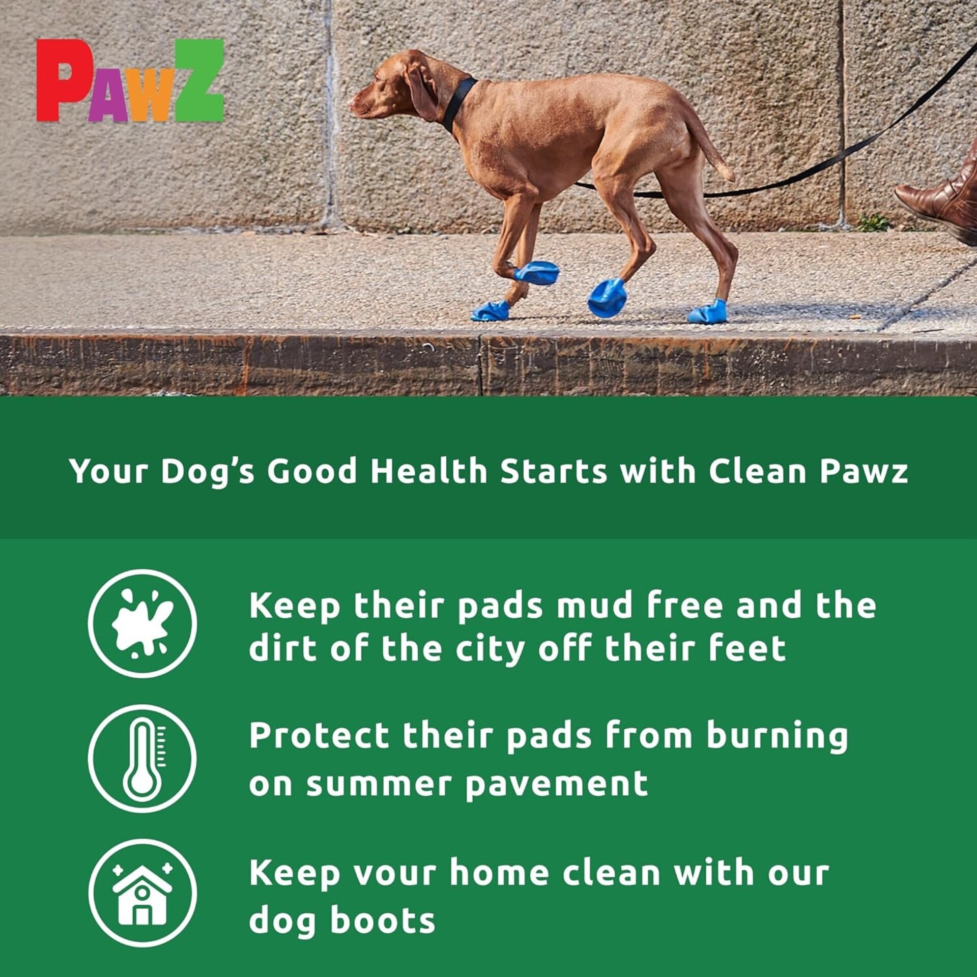 Pawz Botas Para Perros Tiny - 7