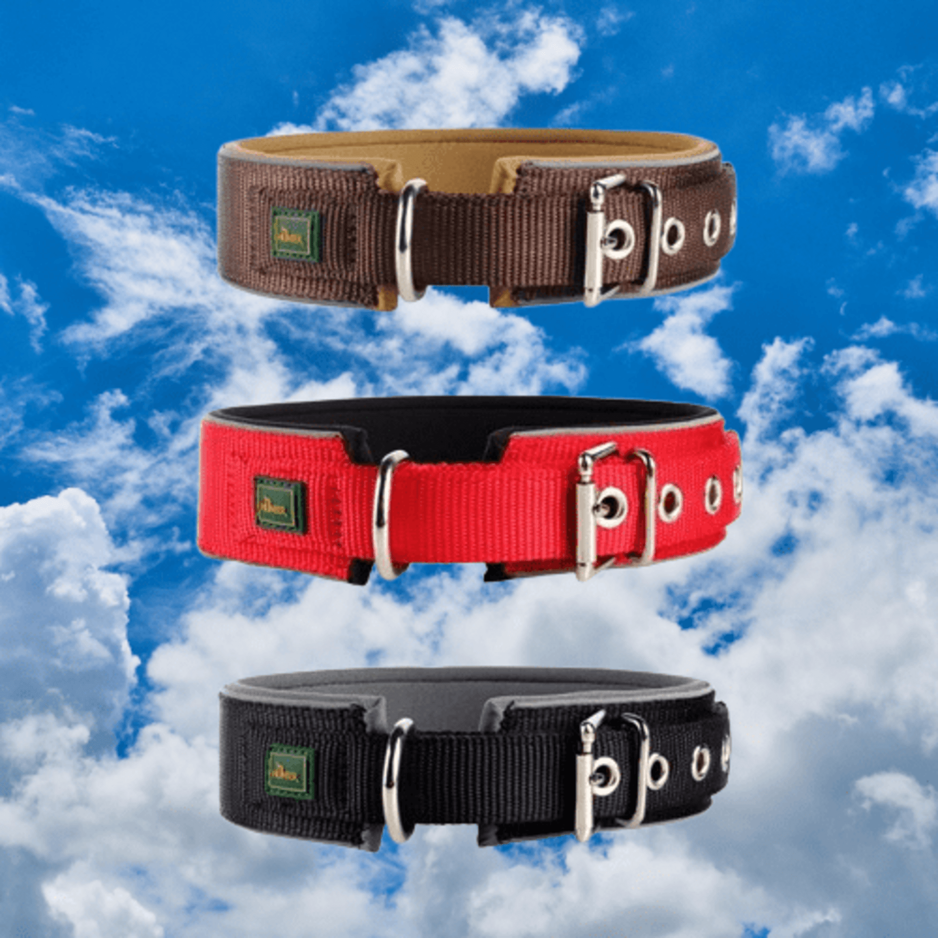Collares Neoprene Reflect Hunter - 1