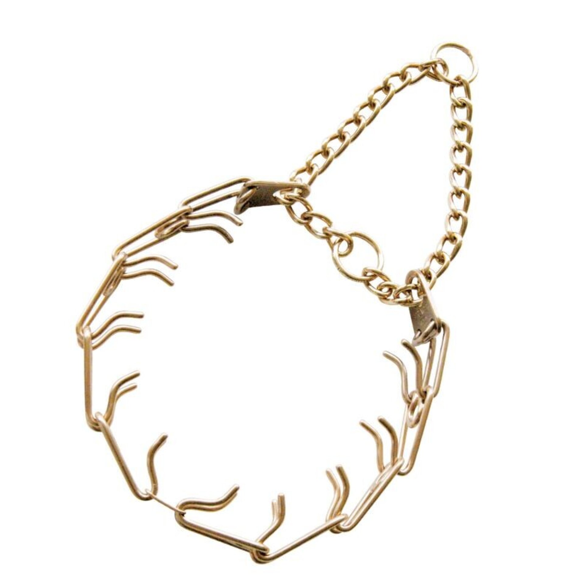 Collar Entrenamiento Curgogan Dorado HS - 2