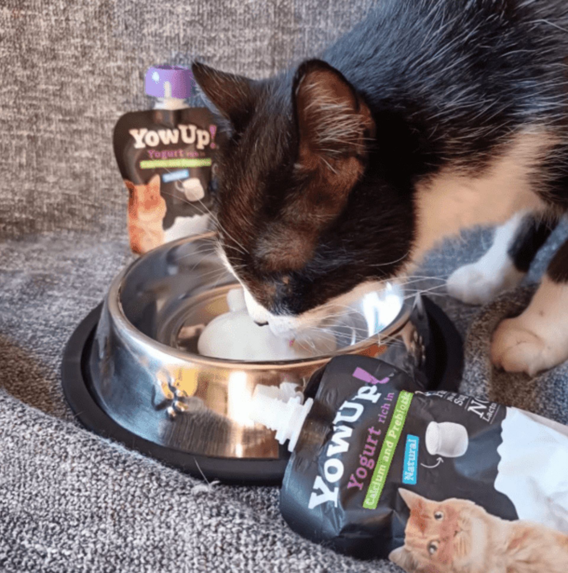 Yowup Yogur Prebióticos Para Gatos - 8