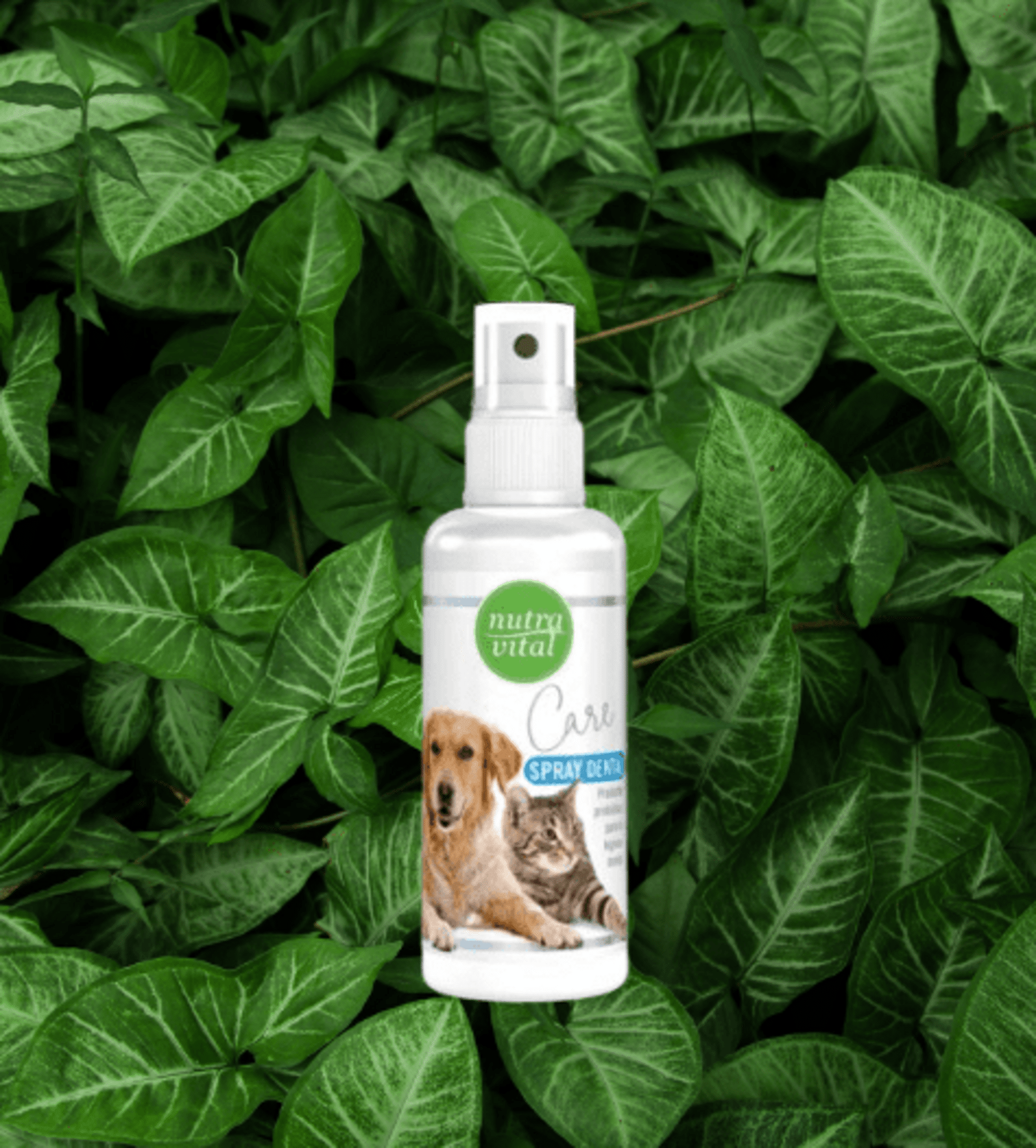 NutraVital Spray Dental - 1