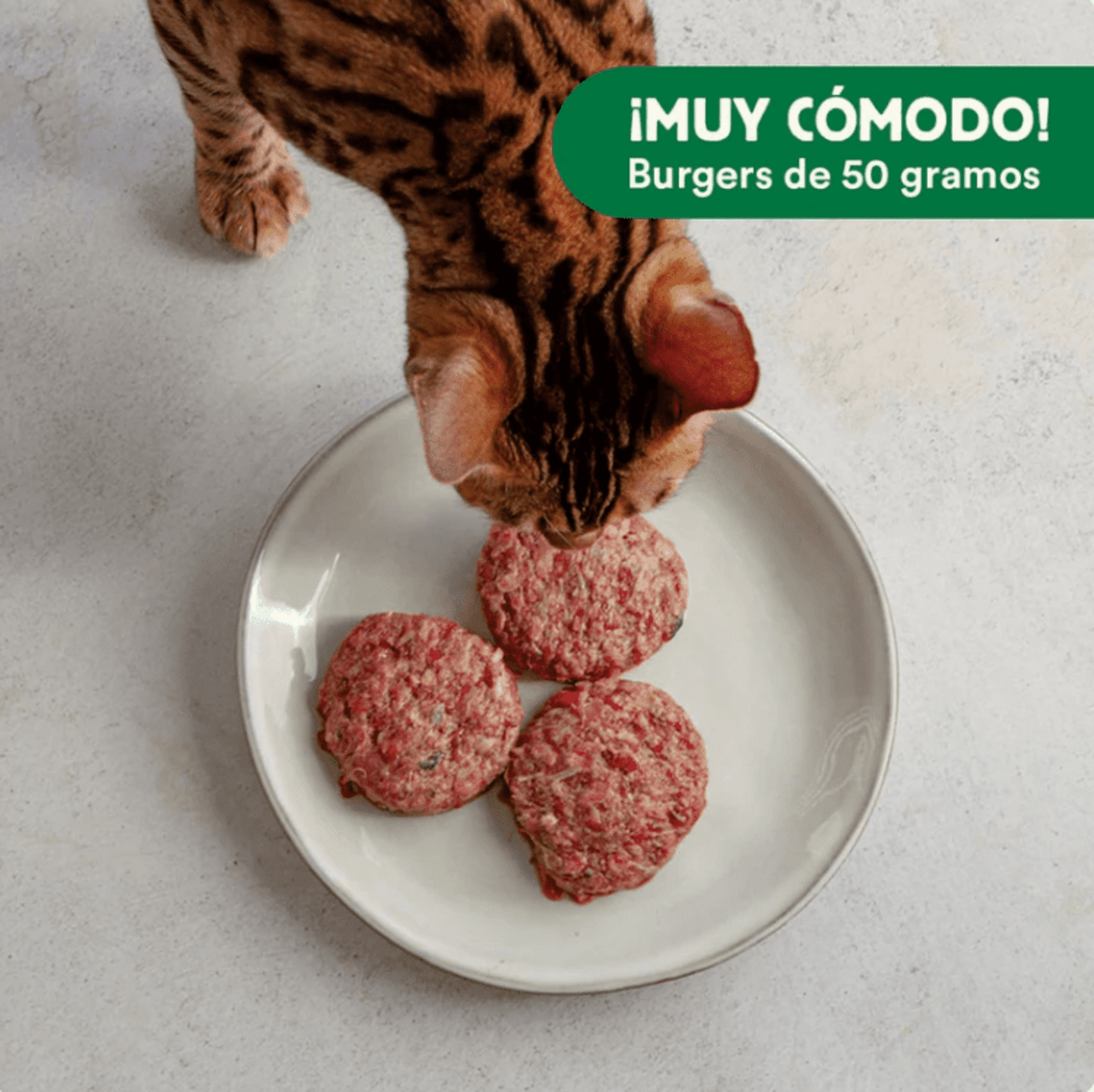 Menú BARF De Conejo Con Verduras Frescas - 4