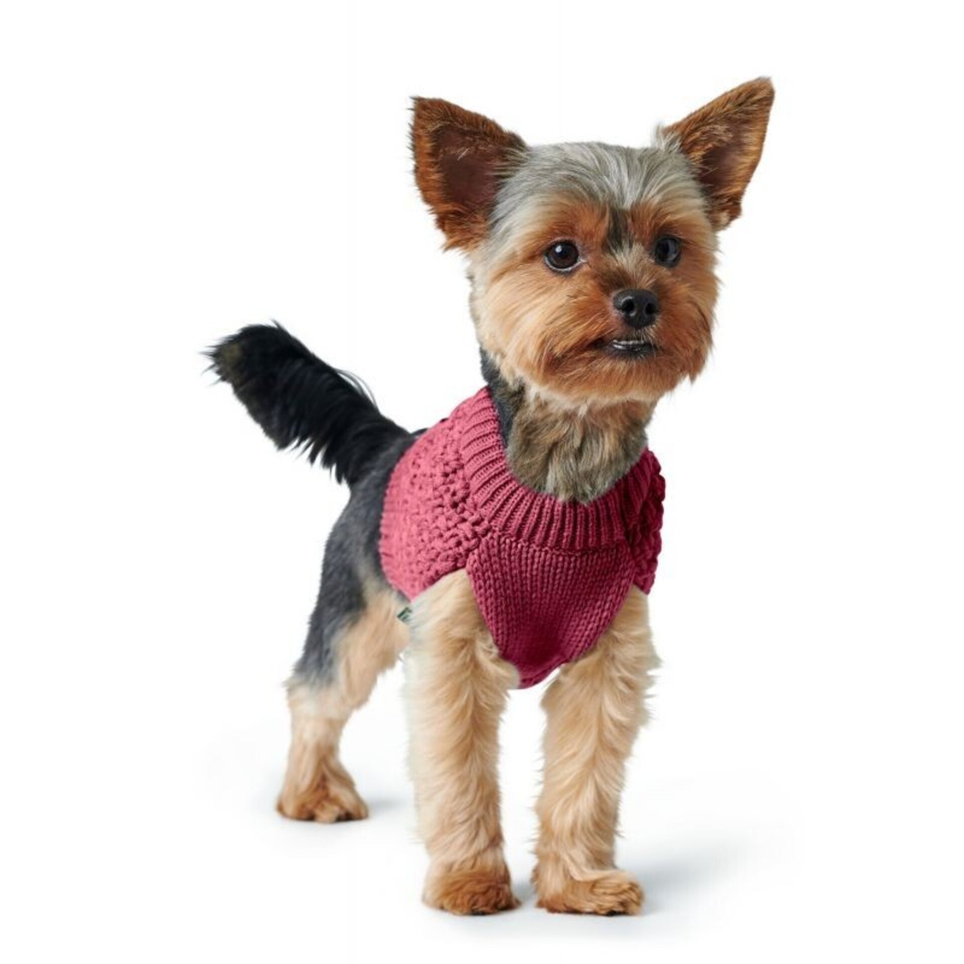 Pullover Dog Malmo Hunter - 8