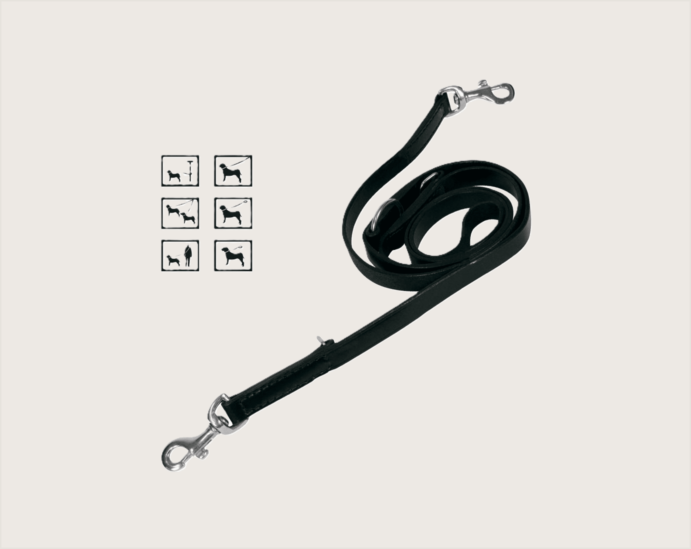 Gloria Correa Mediana de Adiestramiento - 1