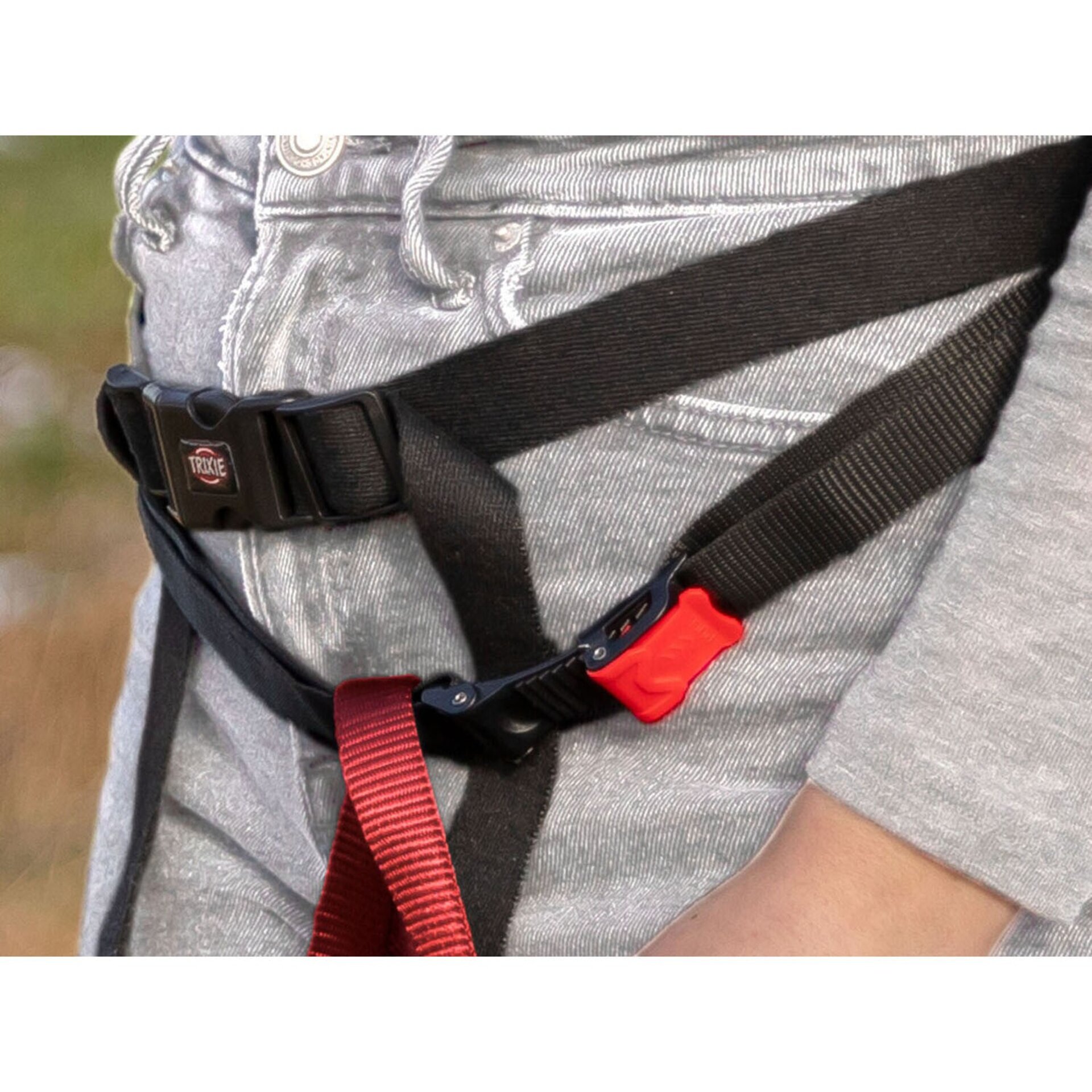 Mochila Y Riñonera Rolltop - 2