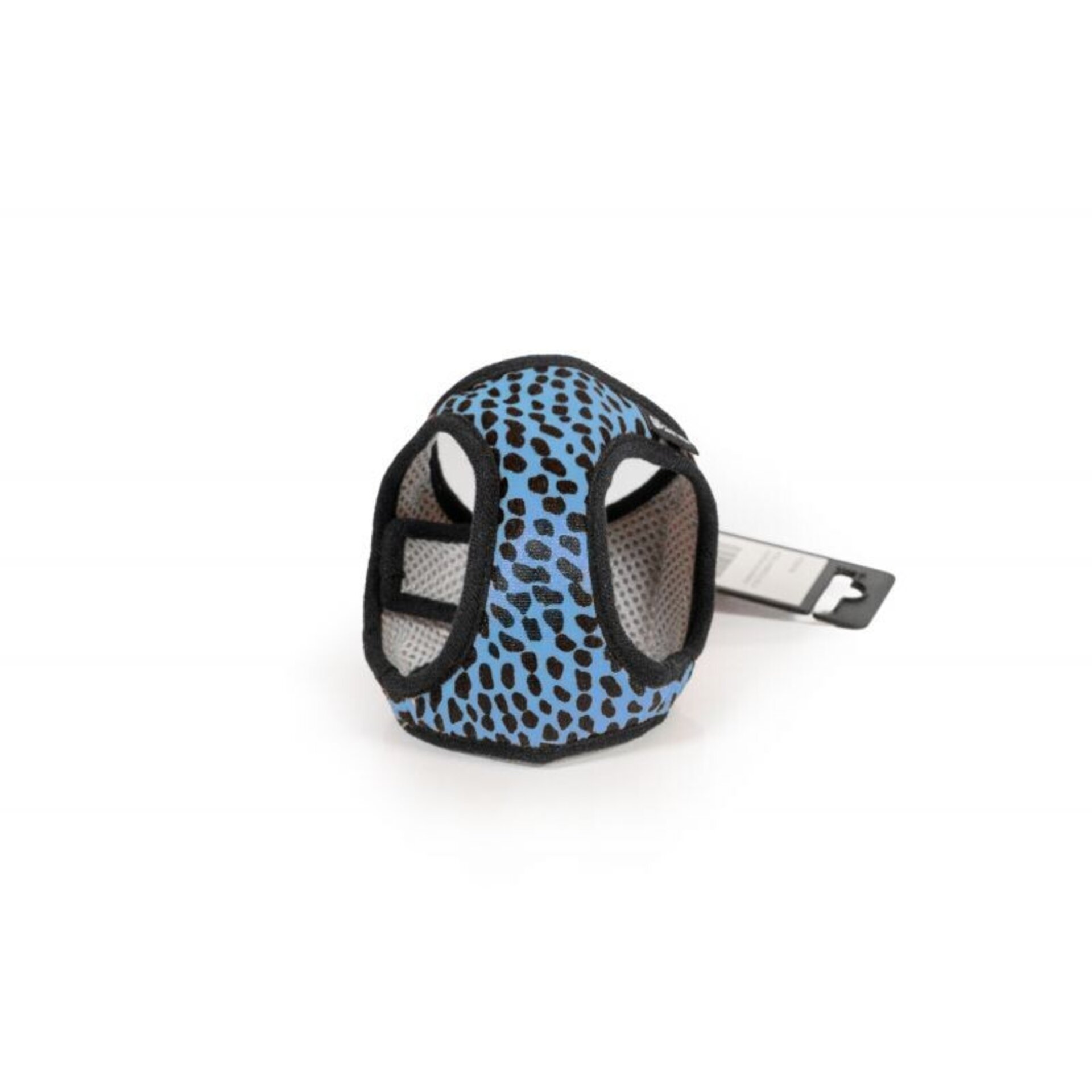 Gloria Petral Leopardo - 5