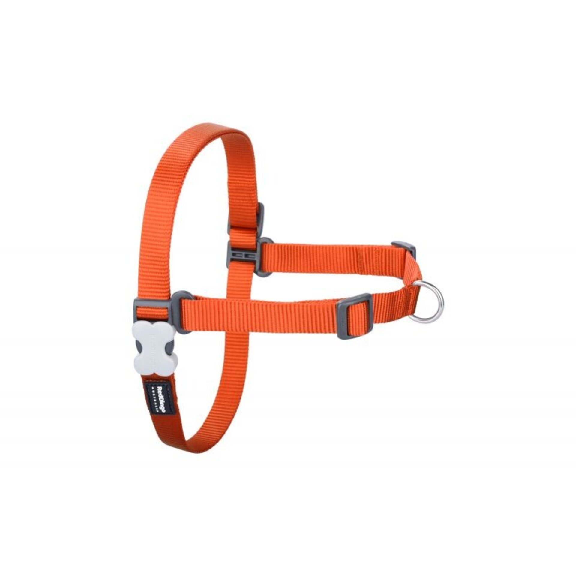 Petral No-Pull RedDingo - 5