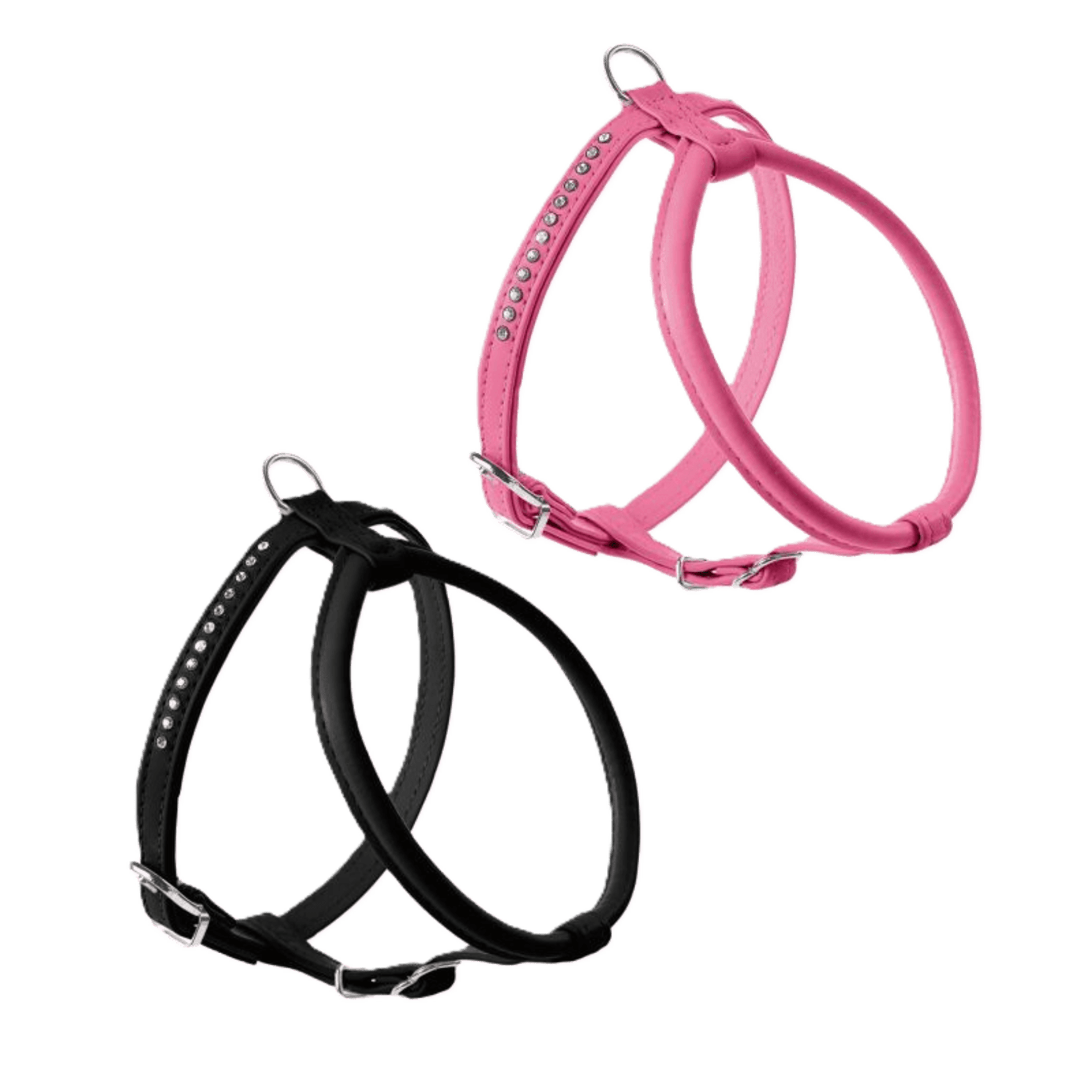 Hunter Arnés Modern Art R&S Petit Luxus - 2