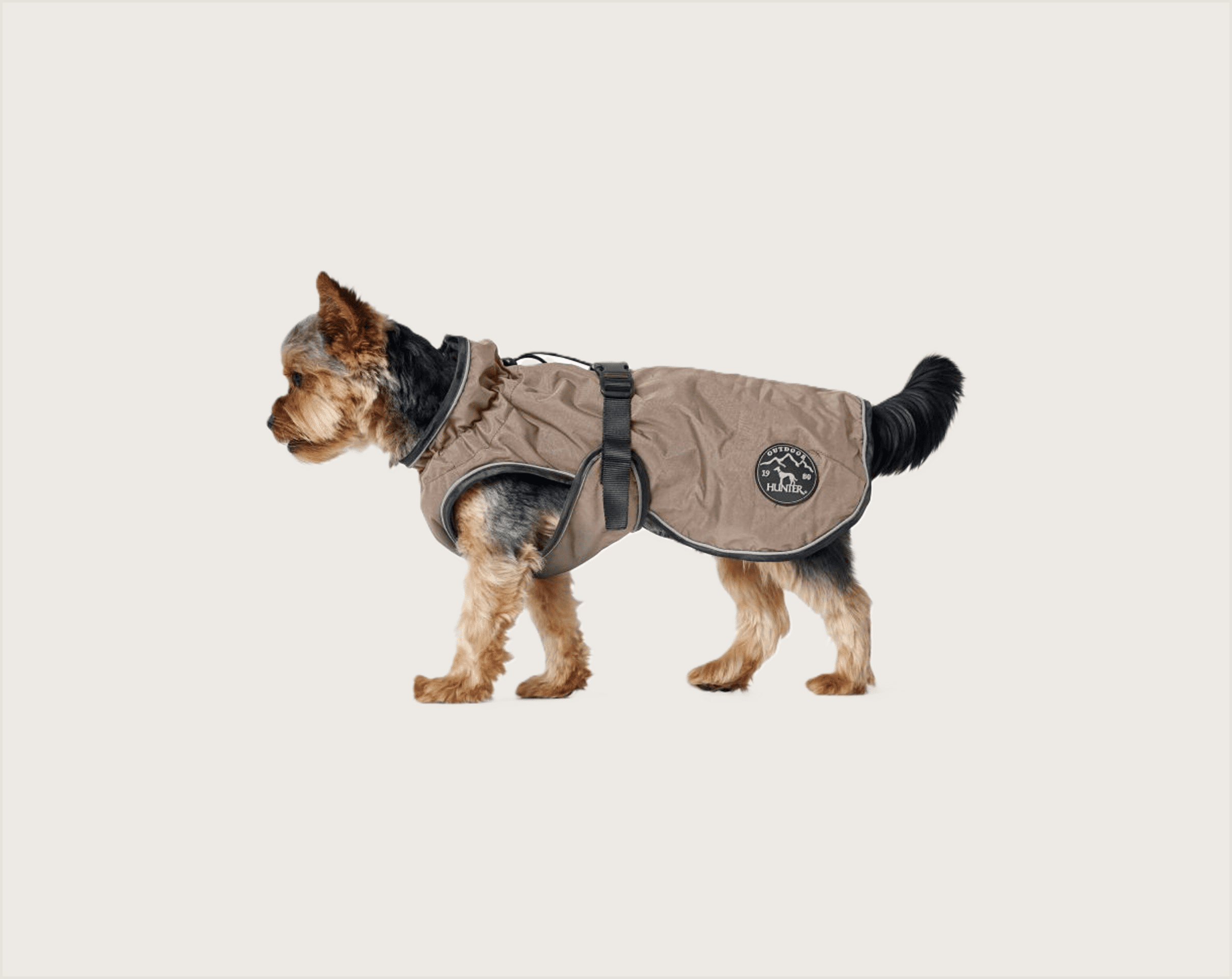 Hunter Abrigo Paxson - 1
