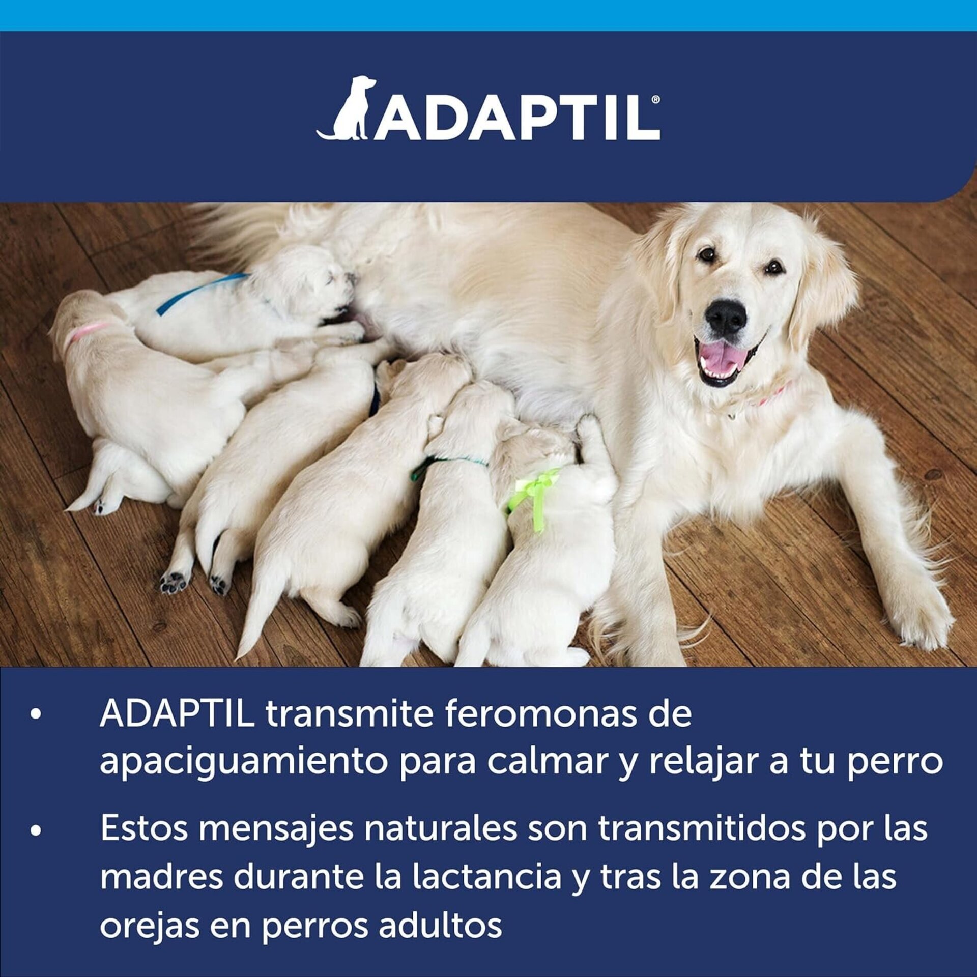 Adaptil Collar Adulto - 9