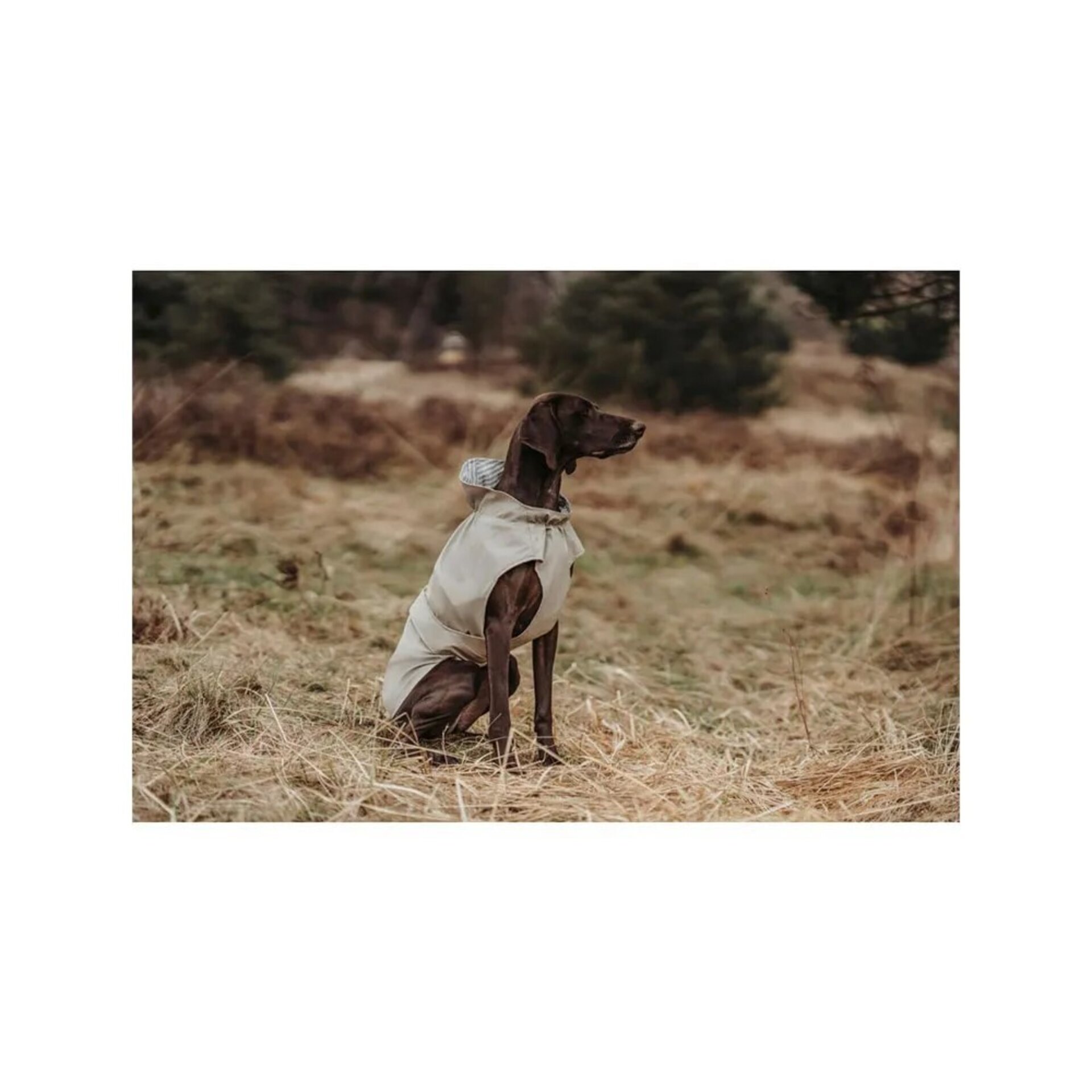Abrigo Milford Hunter - 6