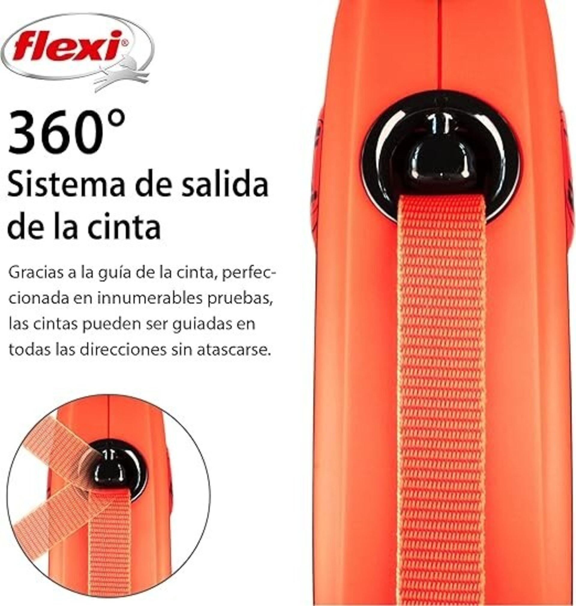 Correa Flexi Xtrem Cinta - 5