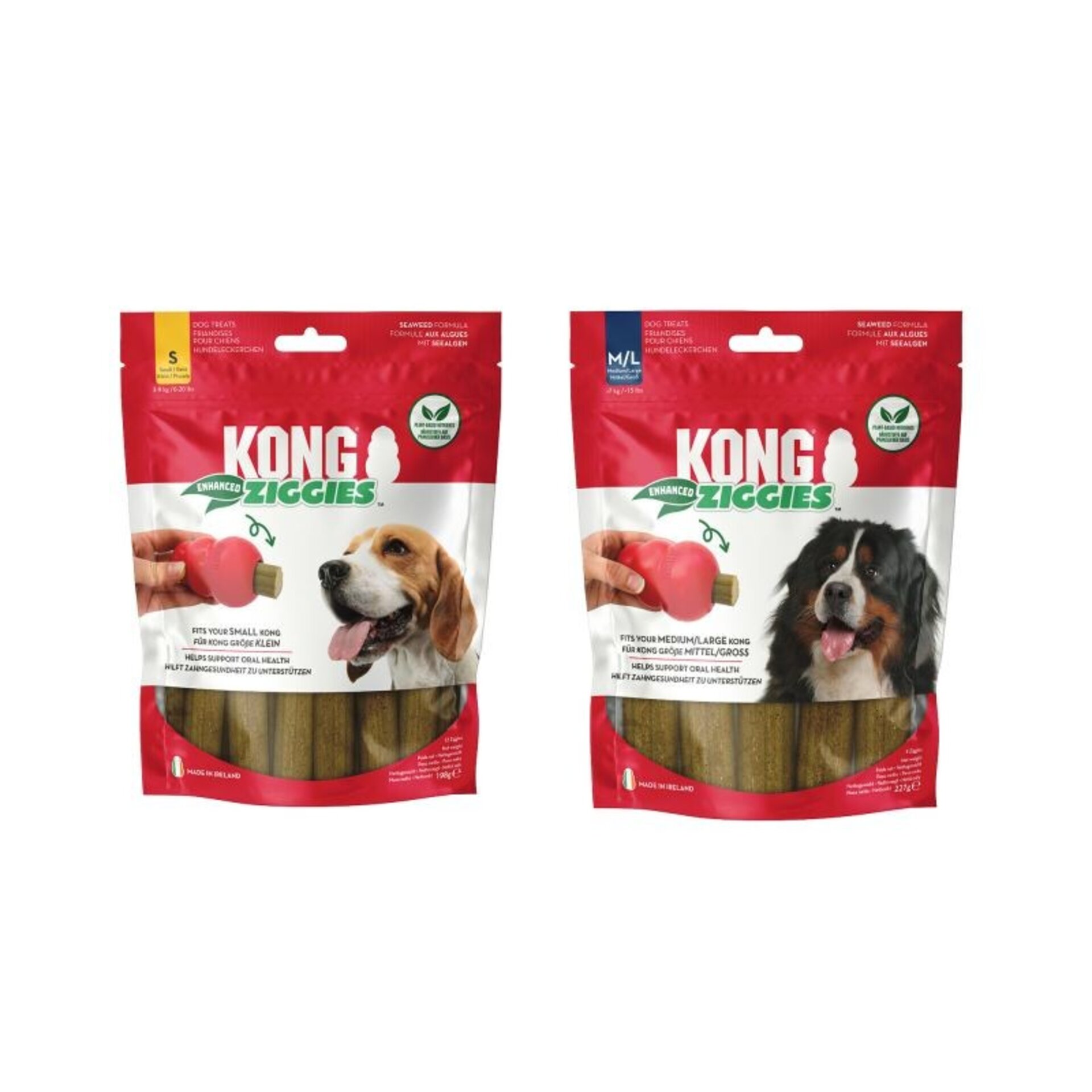 Kong Ziggies Enahanced Dental - 4