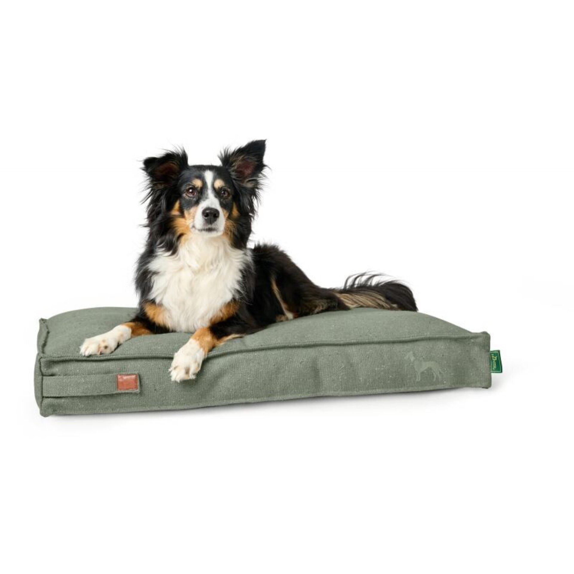 Cojin Belluno Hunter - 1