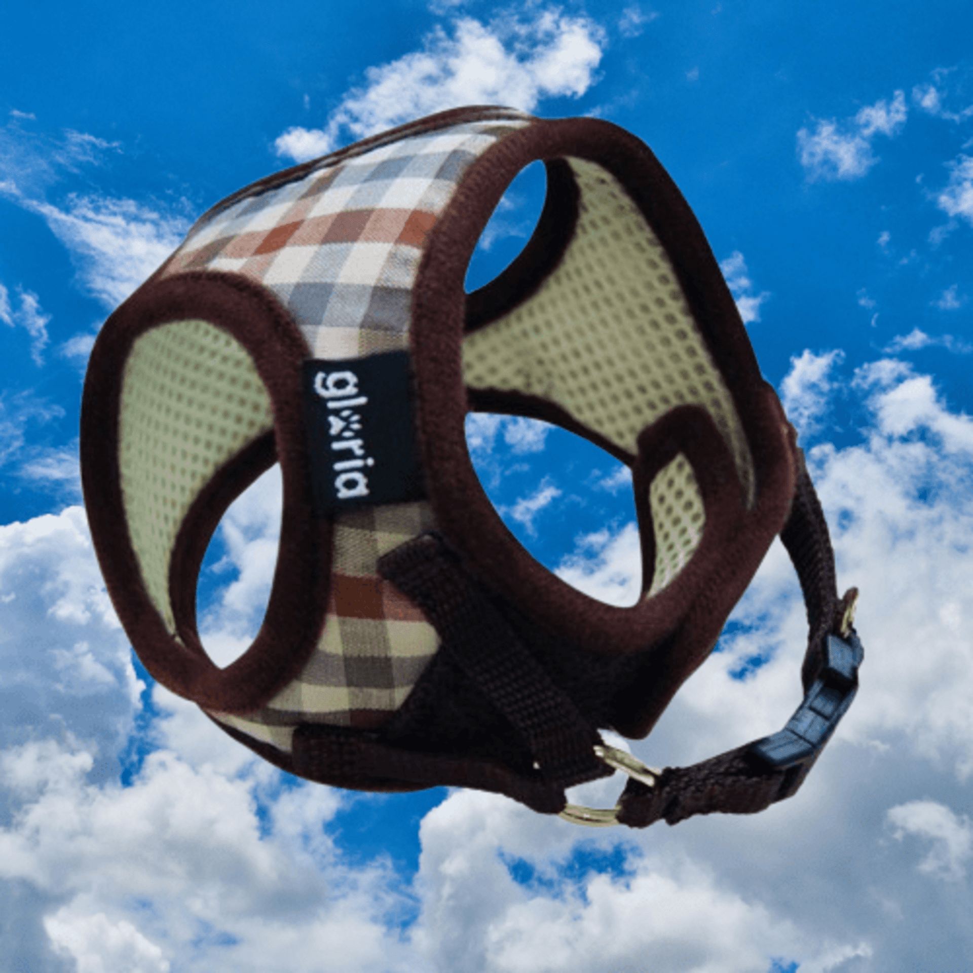 Petral Checked Marron - 2