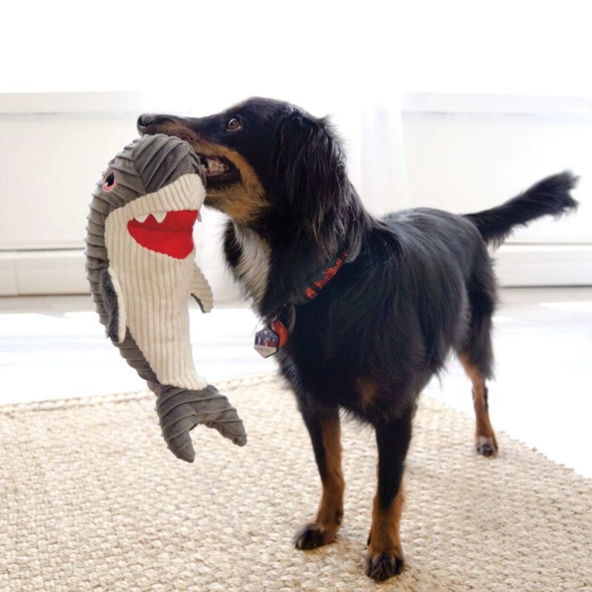 Peluche Kong Cuteseas Ruflez Shark - 1