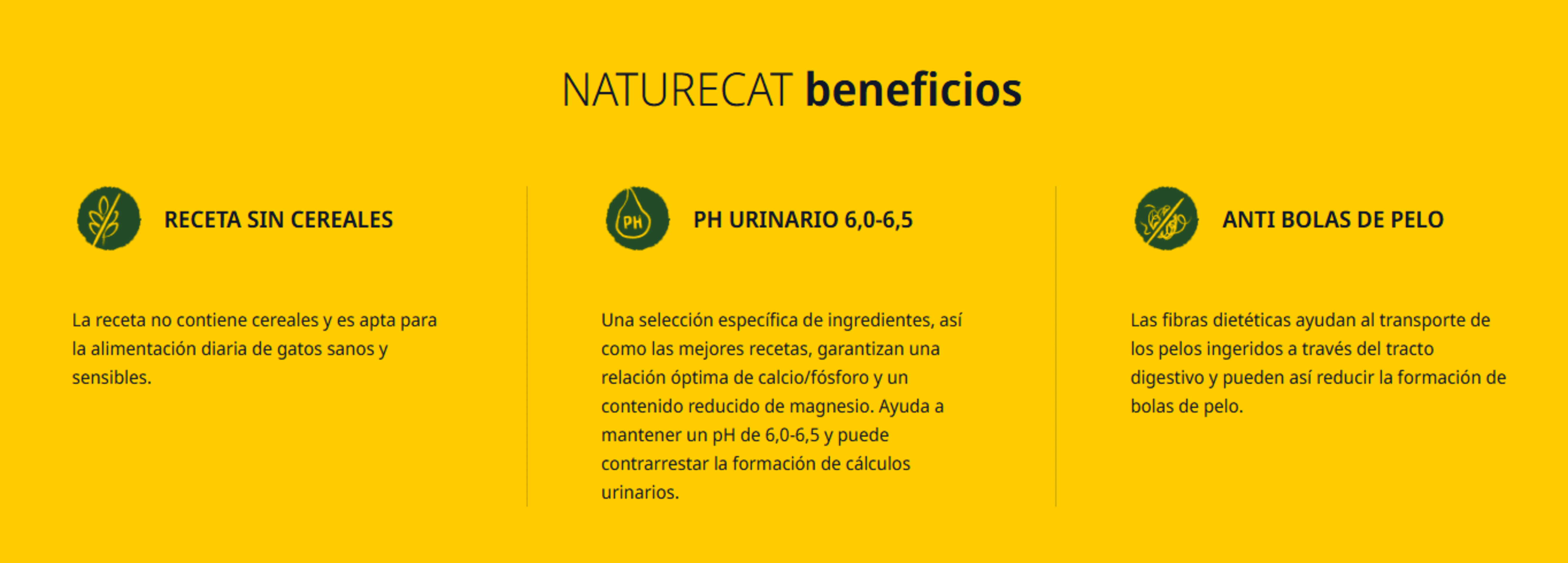 NatureCat Con Ave De Corral Y Salmón Josera - 2