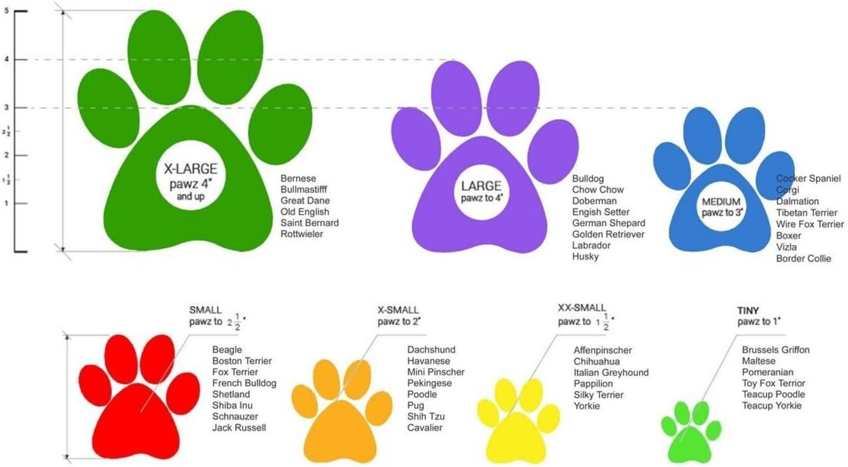 Pawz Botas Para Perros M - 10
