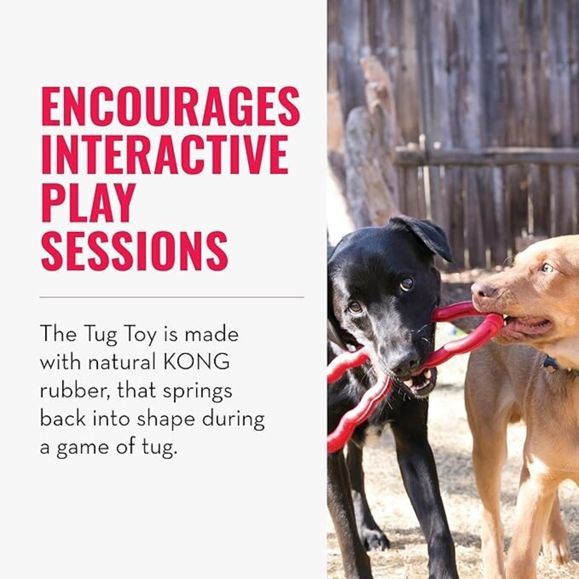 Kong Tug Toy - 2