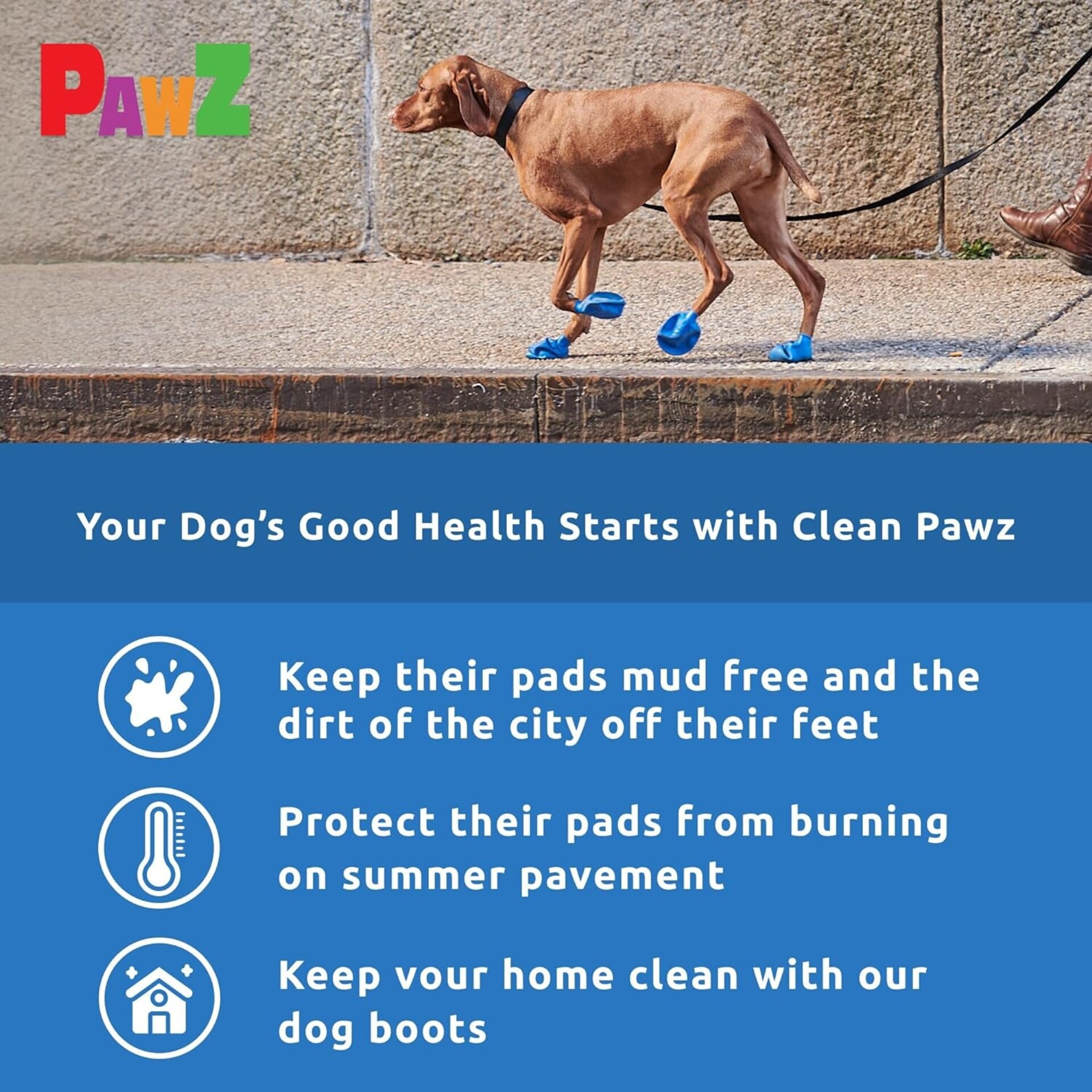Pawz Botas Para Perros M - 11