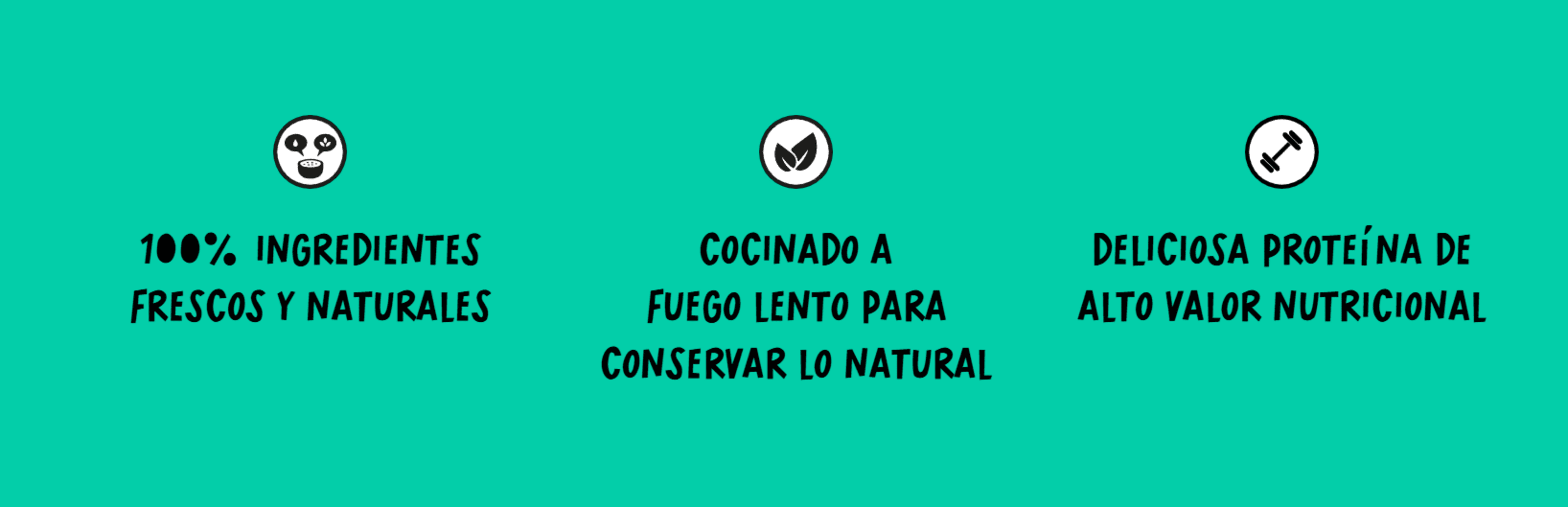 Cocosi Estofado Casero De Pollo - 3