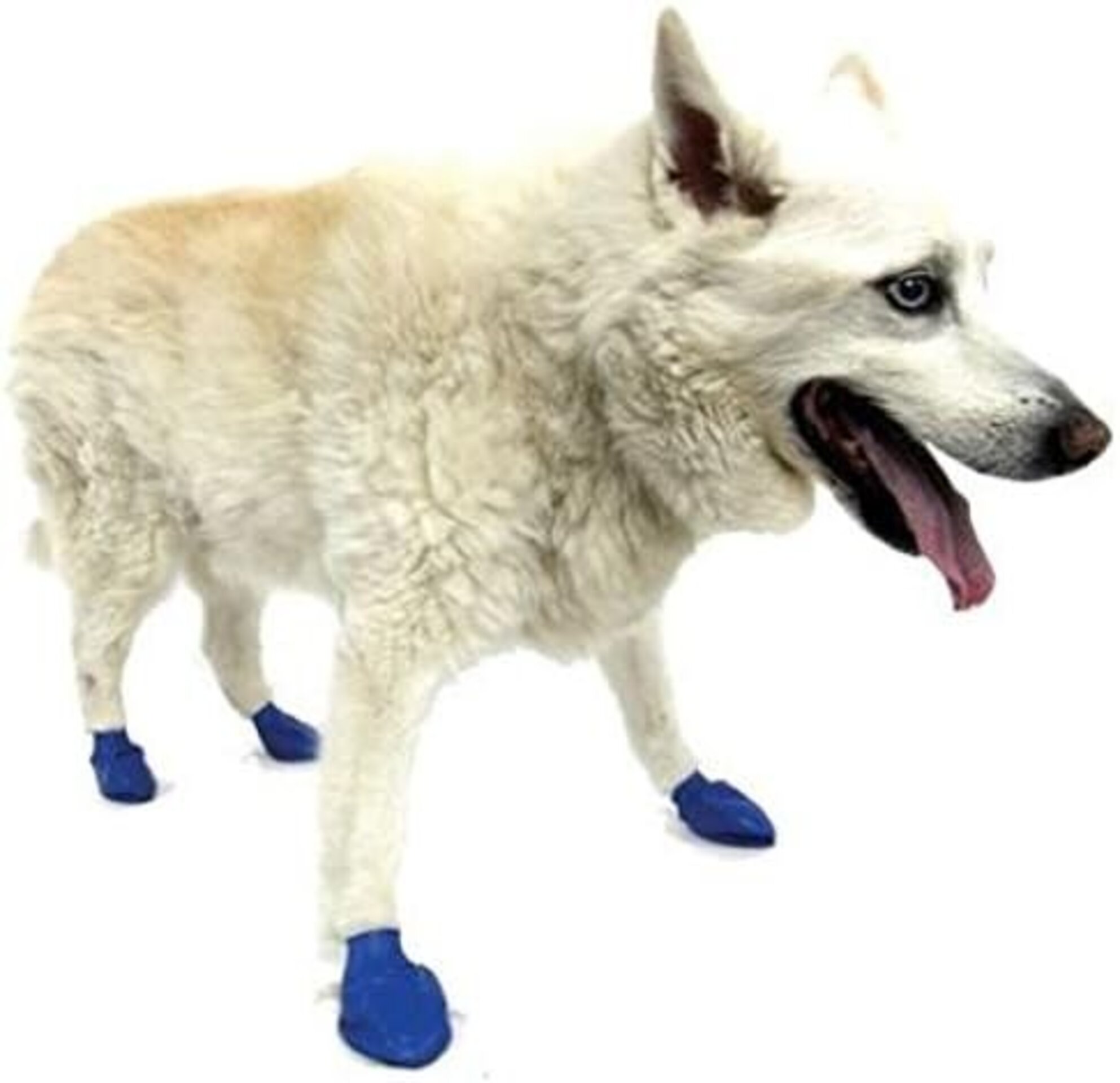 Pawz Botas Para Perros M - 3