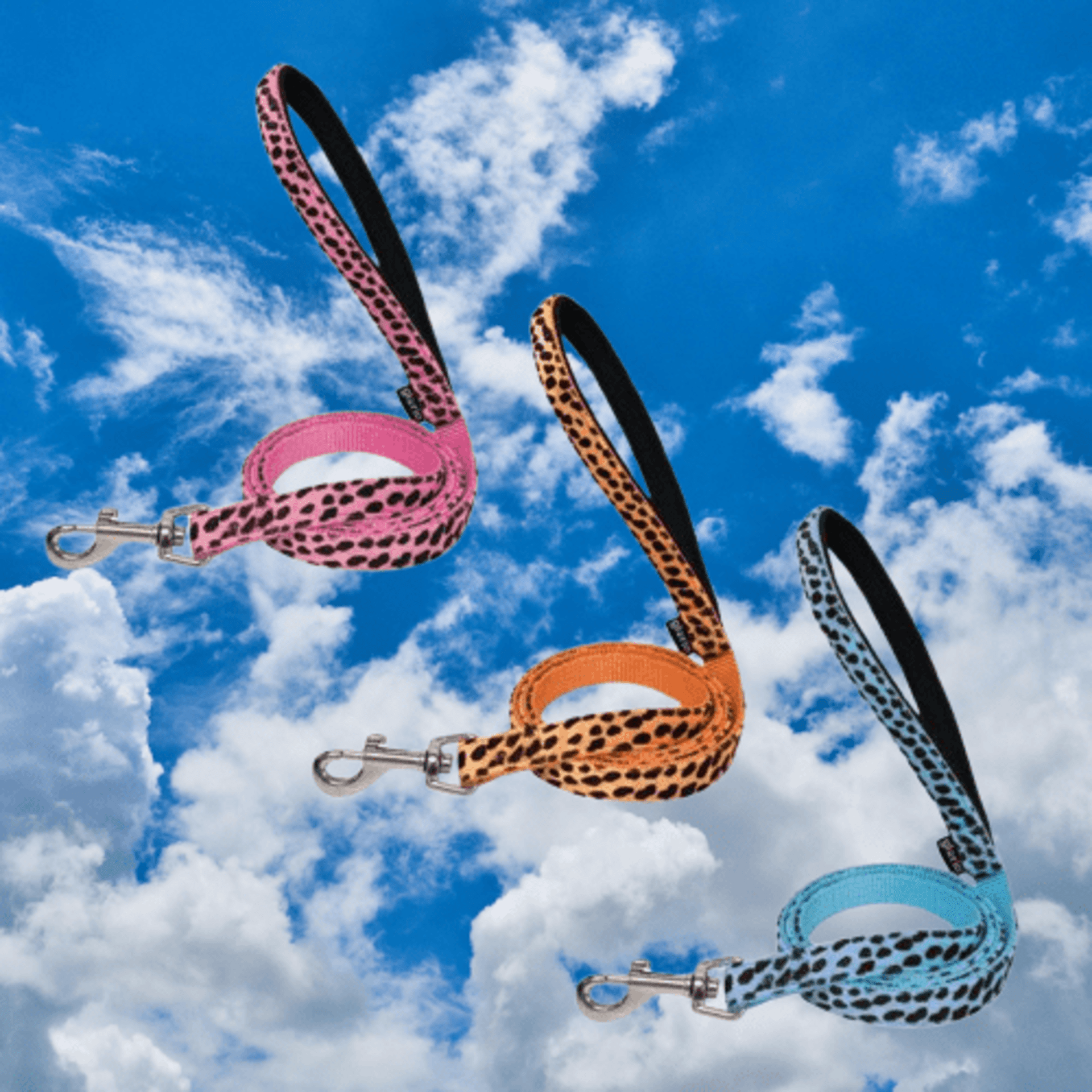Correas Leopardo - 1