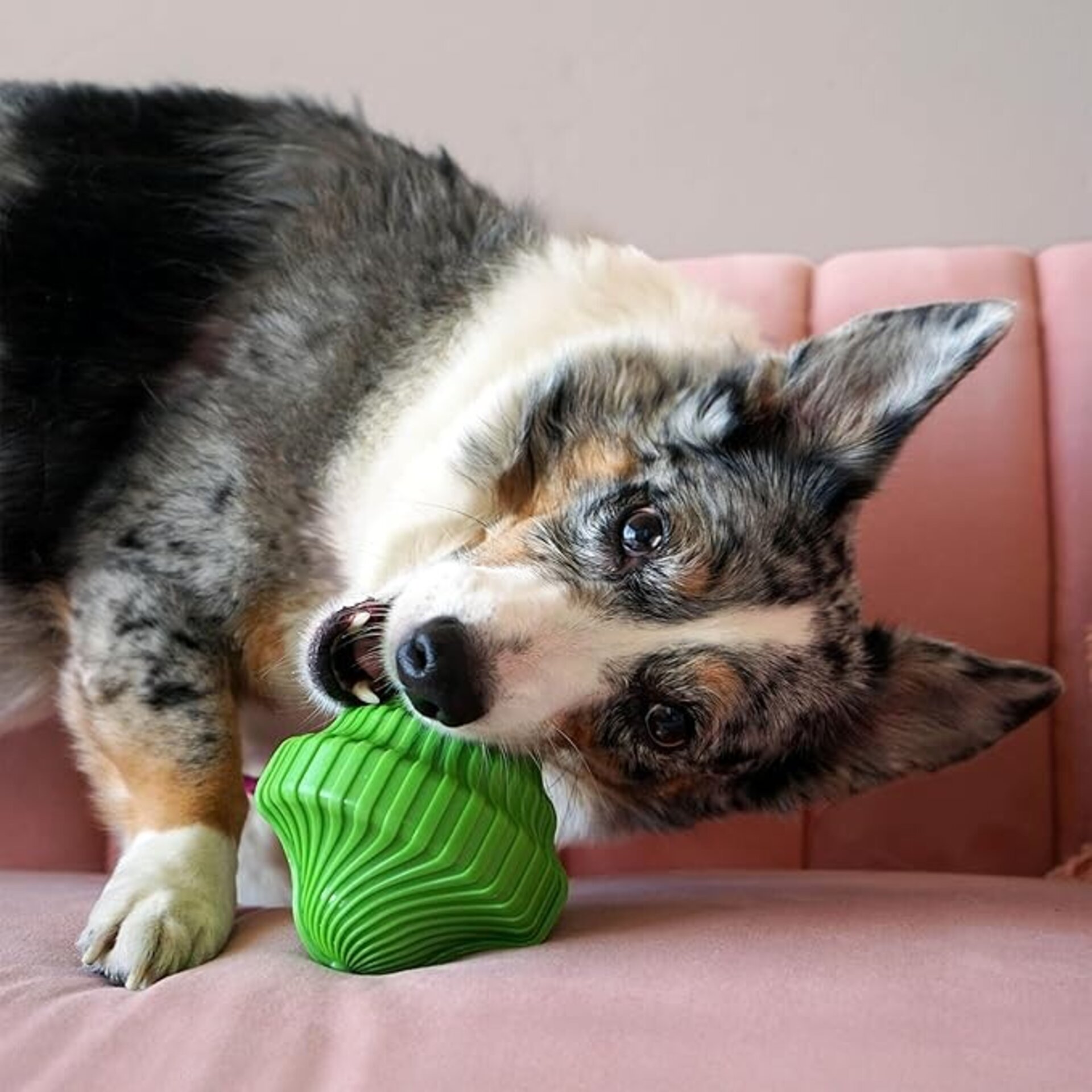 Kong Squeezz Orbitz - 1