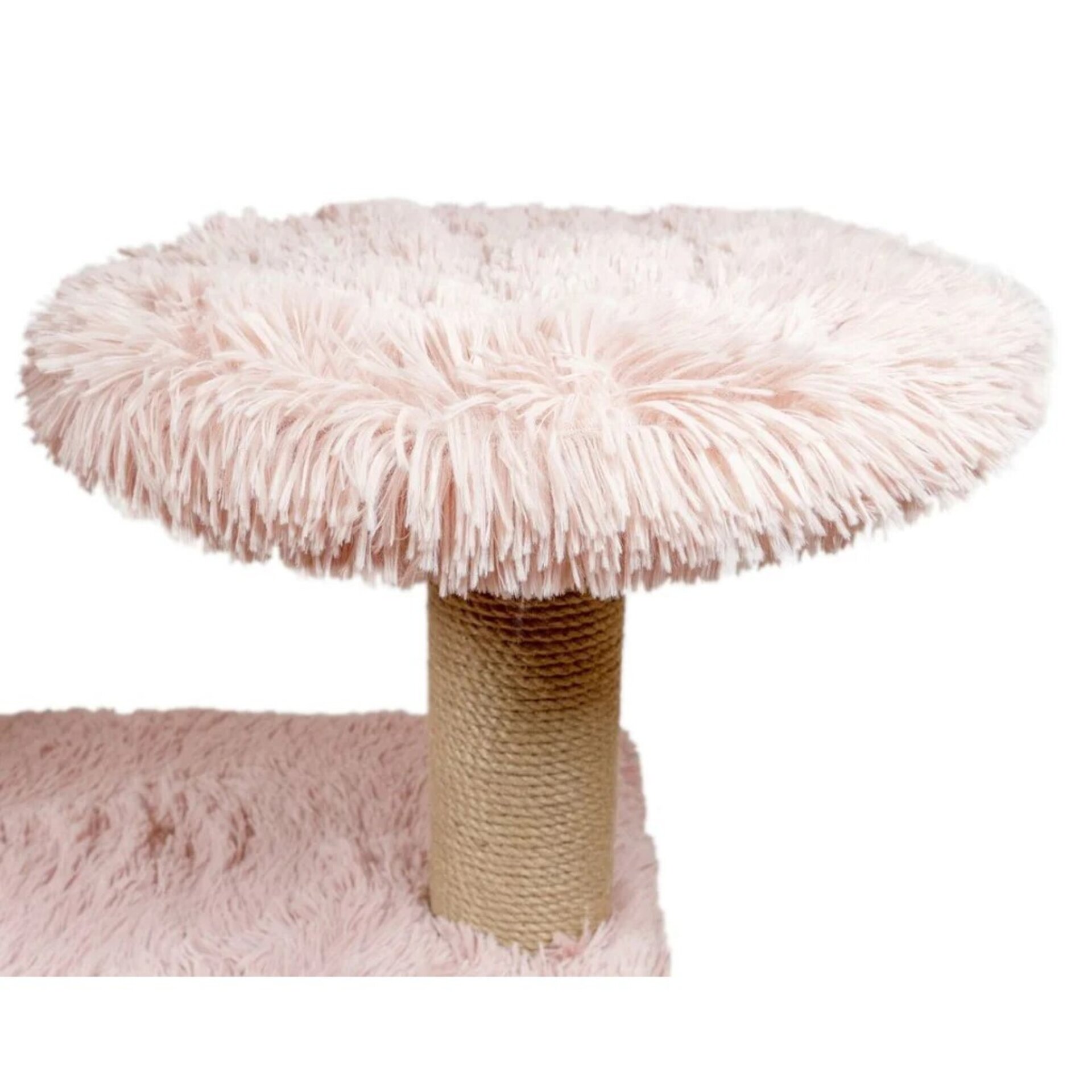 Gloria Rascador Cat Tree Amazonas para Gatos - 13