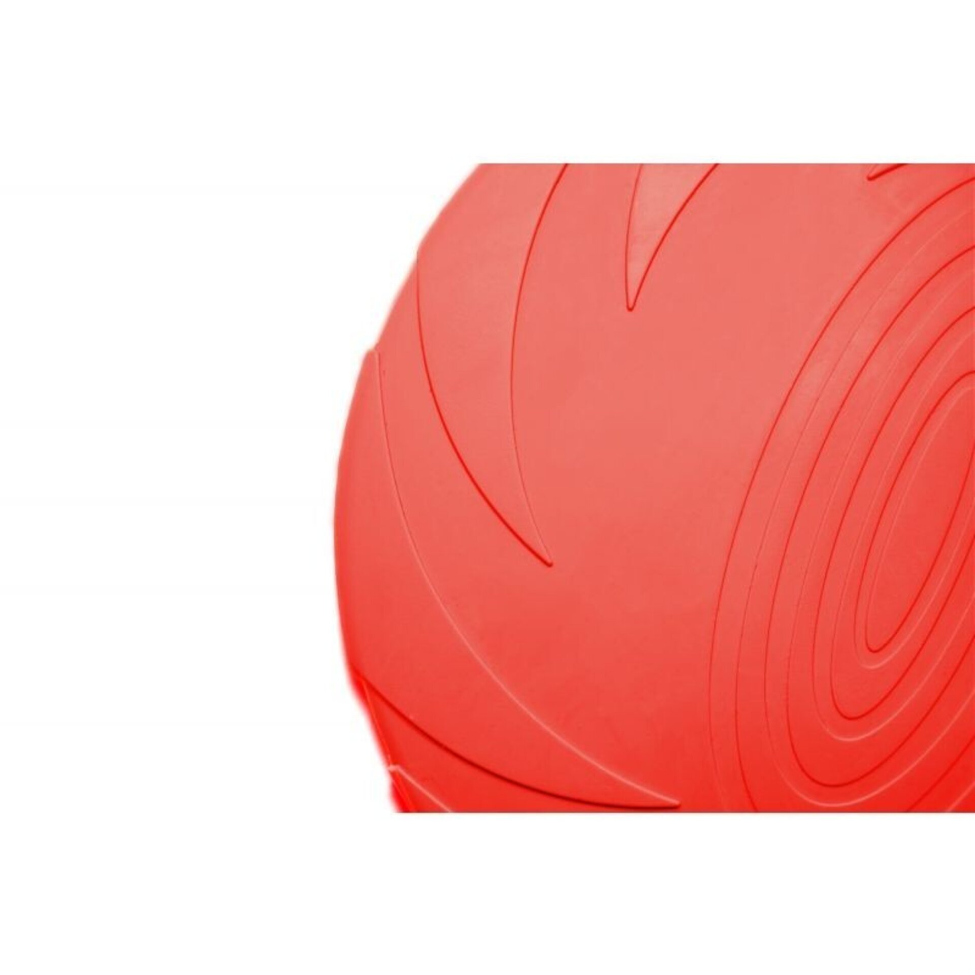 Gloria Frisbee para Perros - 12