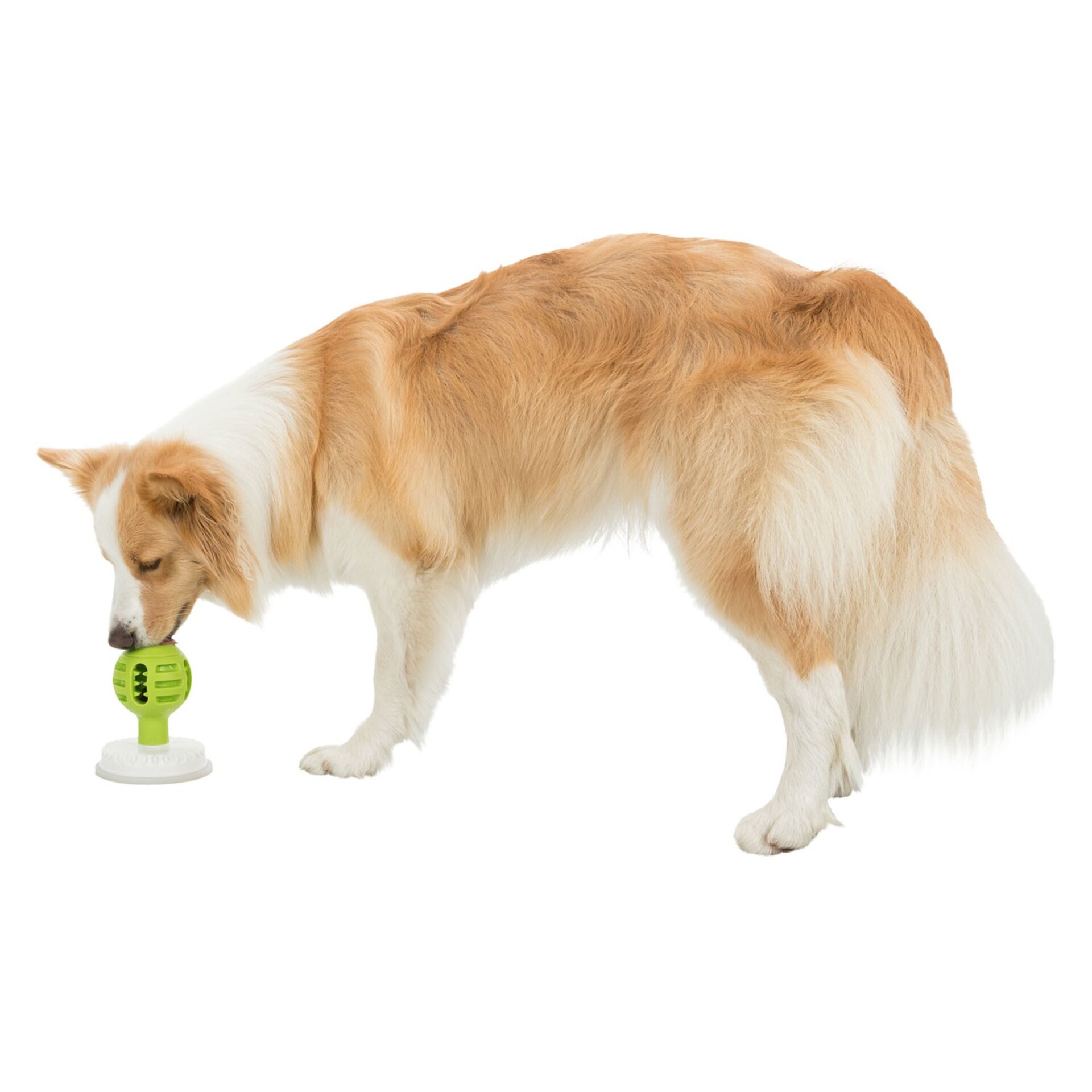 Lick'n' Snack Pelota Fija - 8