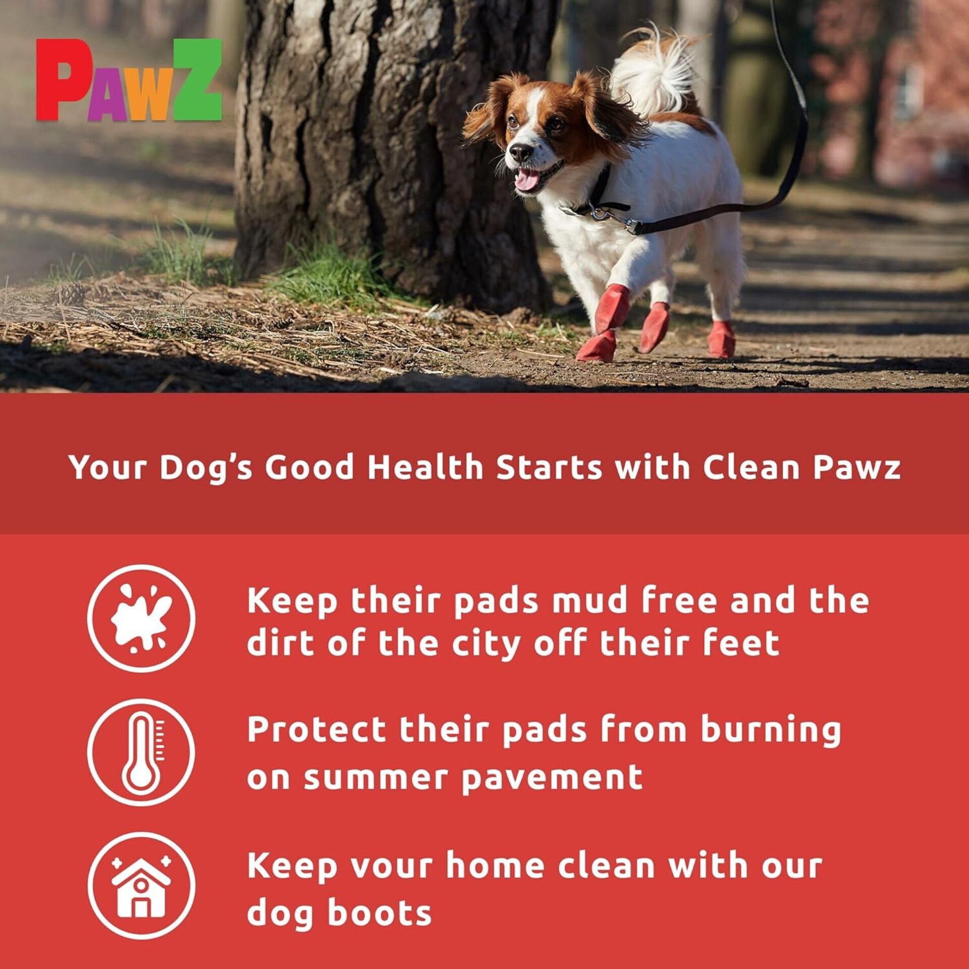 Pawz Botas Para Perros S - 6