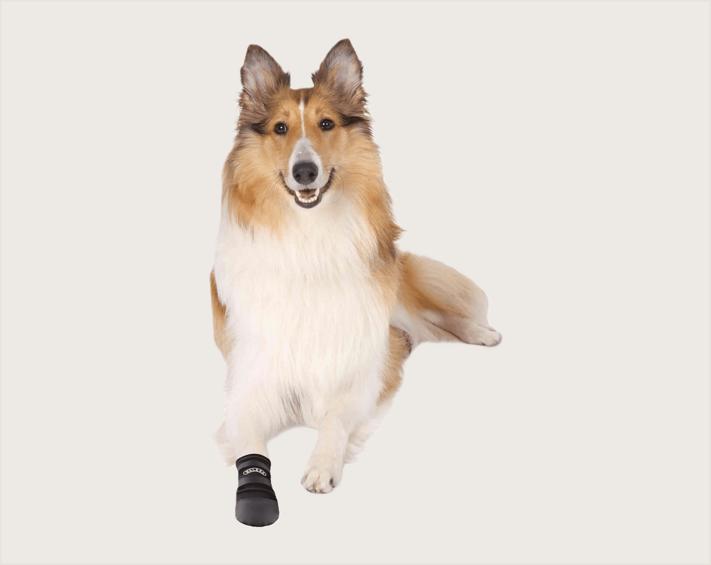 Trixie Botas Protectoras Walker Care - 1