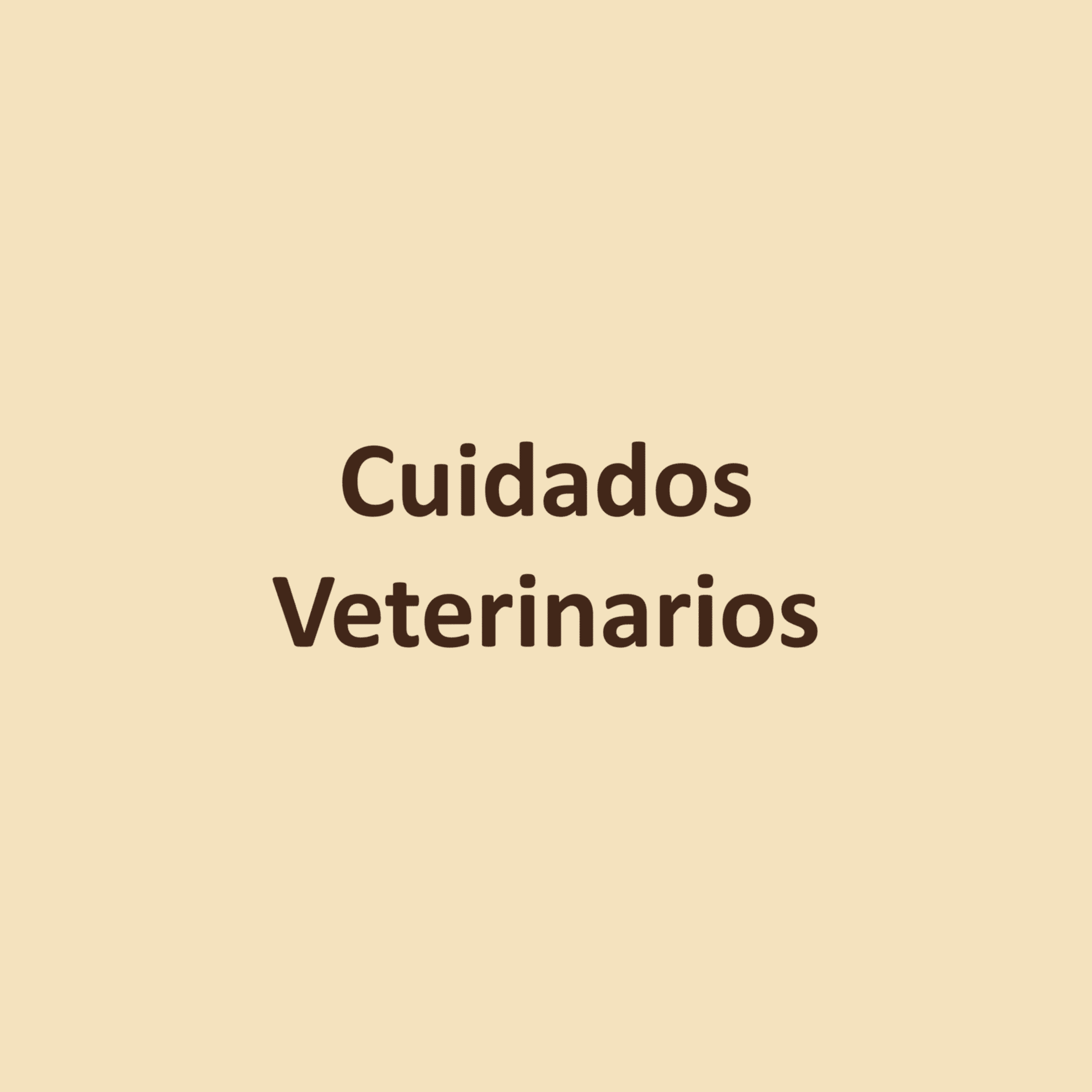 Cuidados Veterinarios