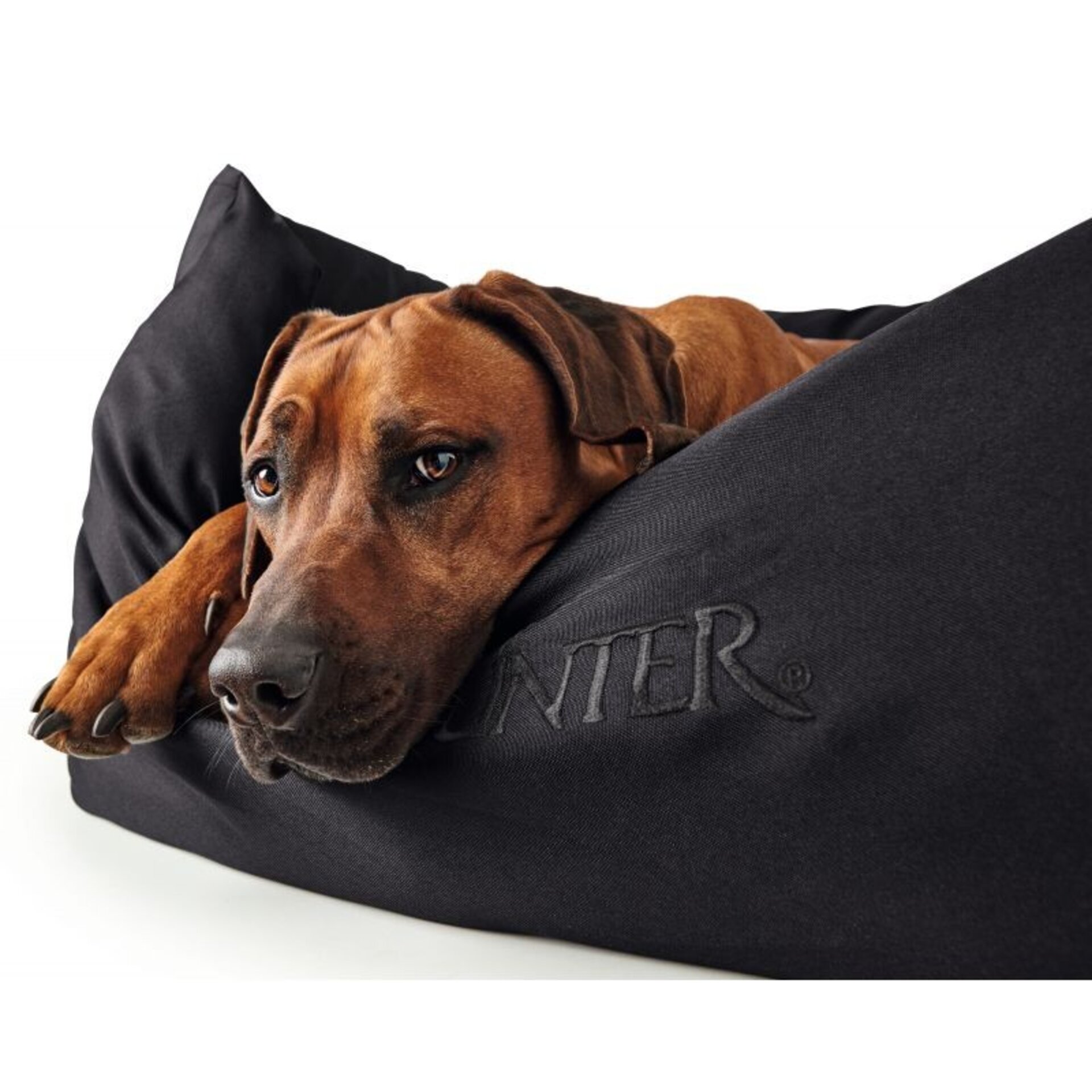 Sofa Gent Antibac Hunter - 3