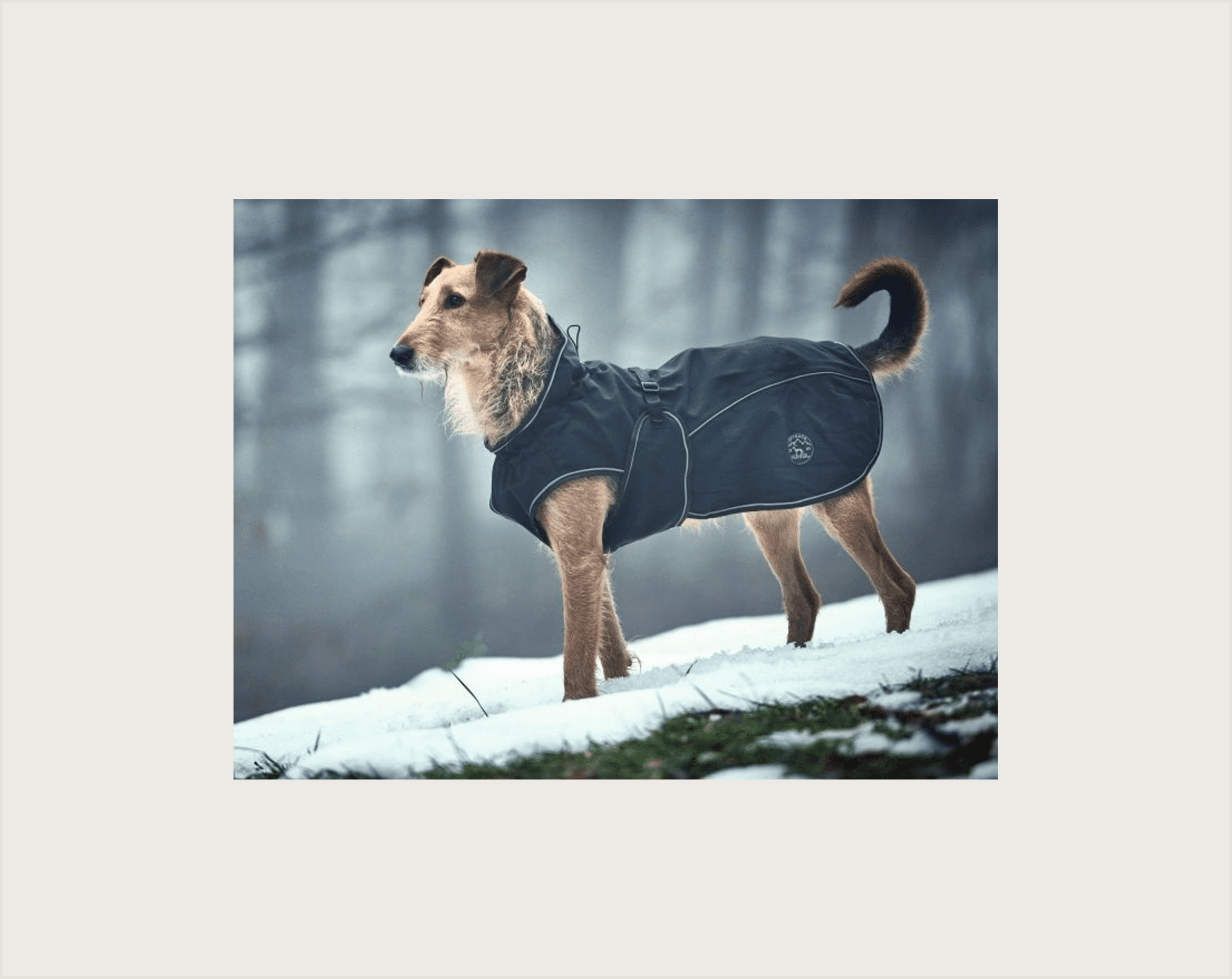 Hunter Abrigo Coat Uppsala - 1