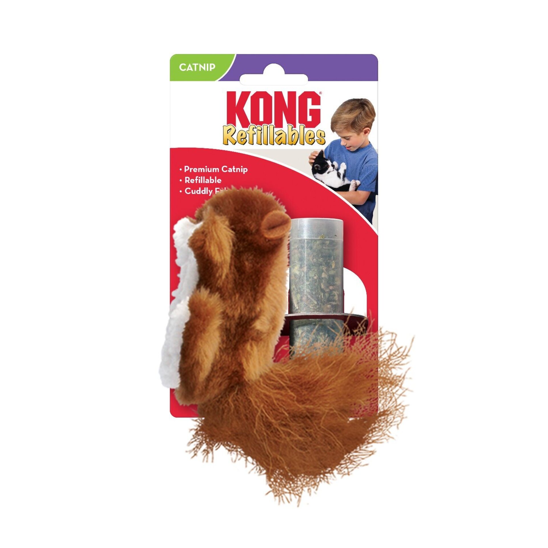 Kong Cat Ardilla - 2