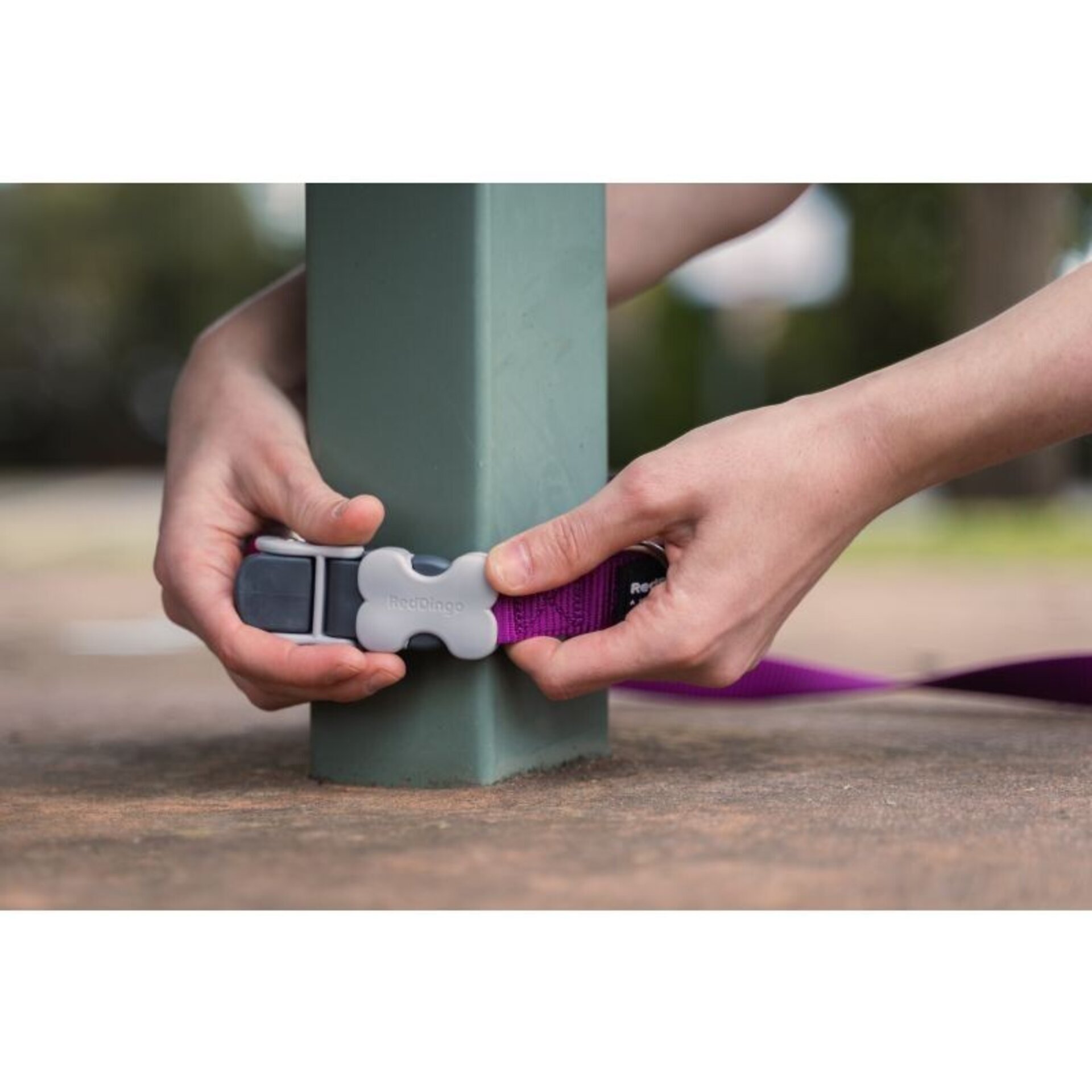 Correas Super Lead RedDingo - 7