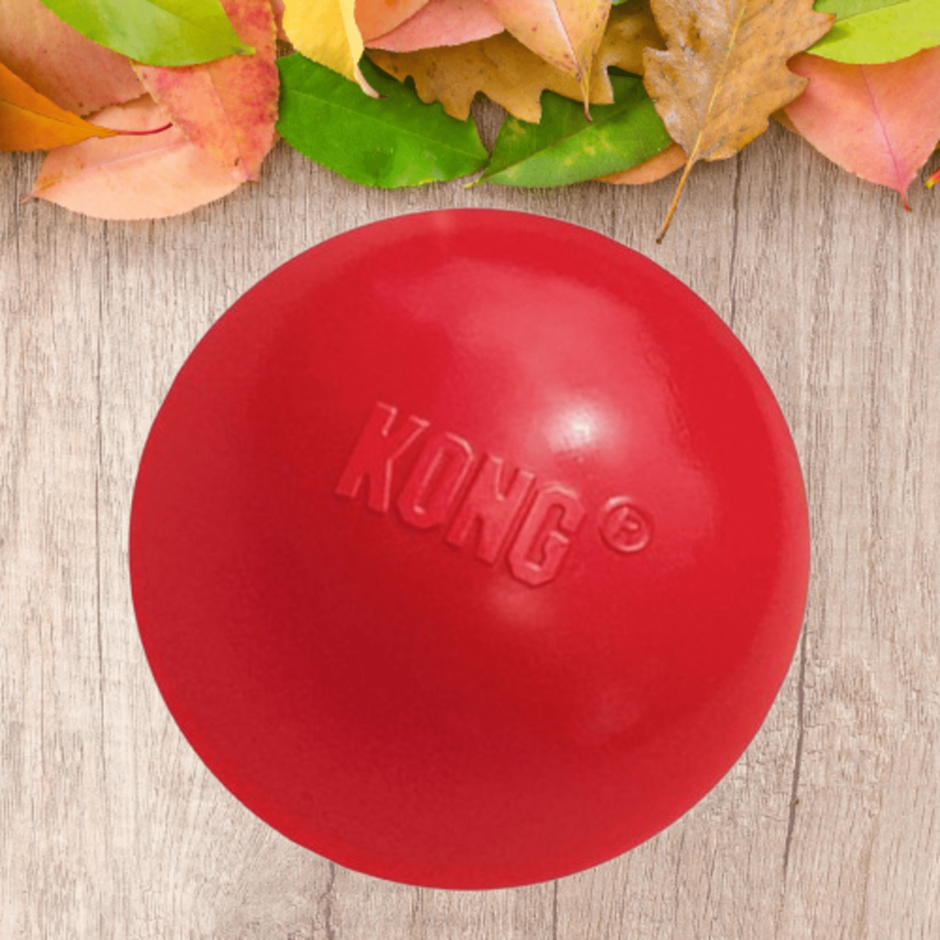 Pelotas Kong Macizas Clasic - 1
