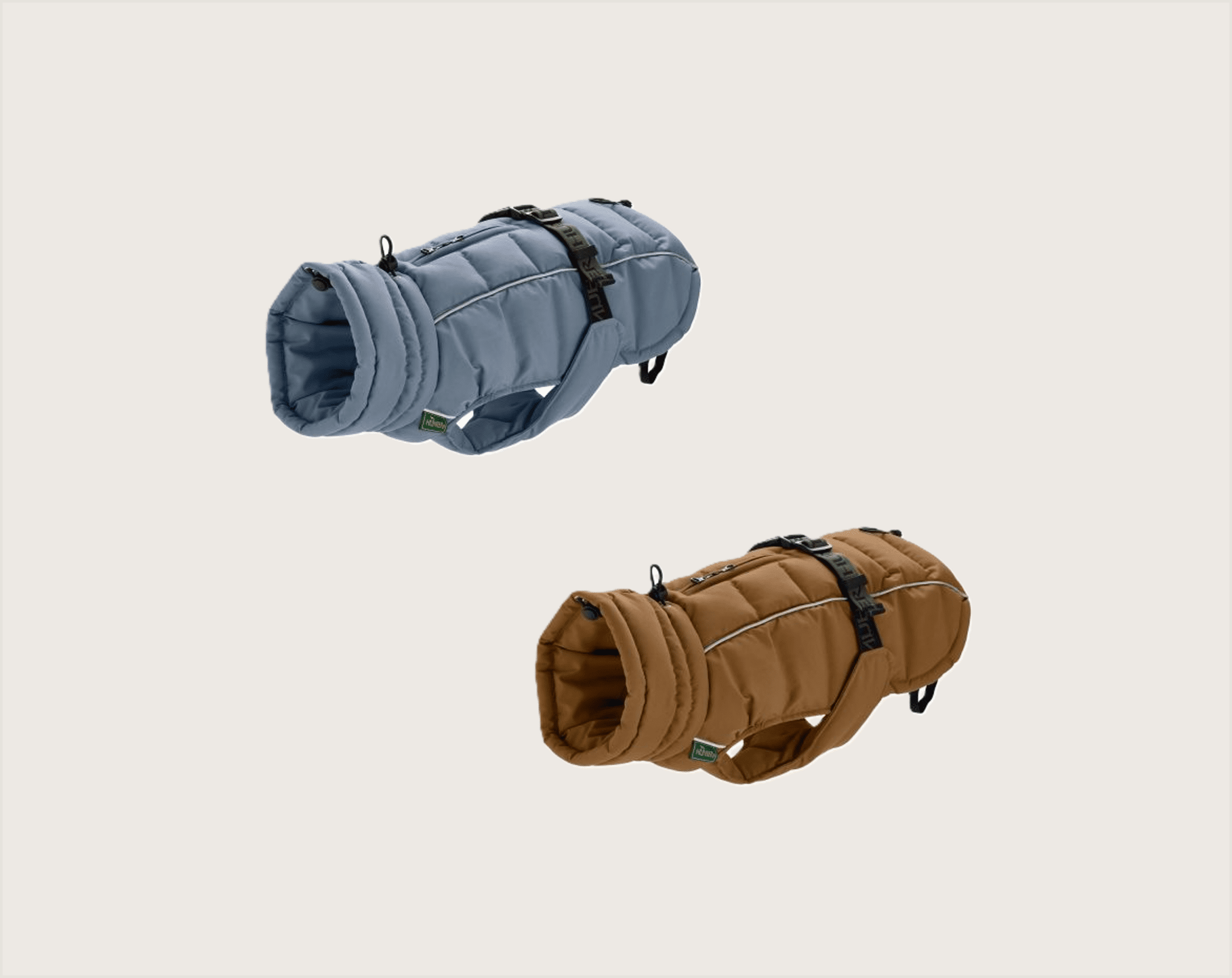 Hunter Abrigo Paxson - 2