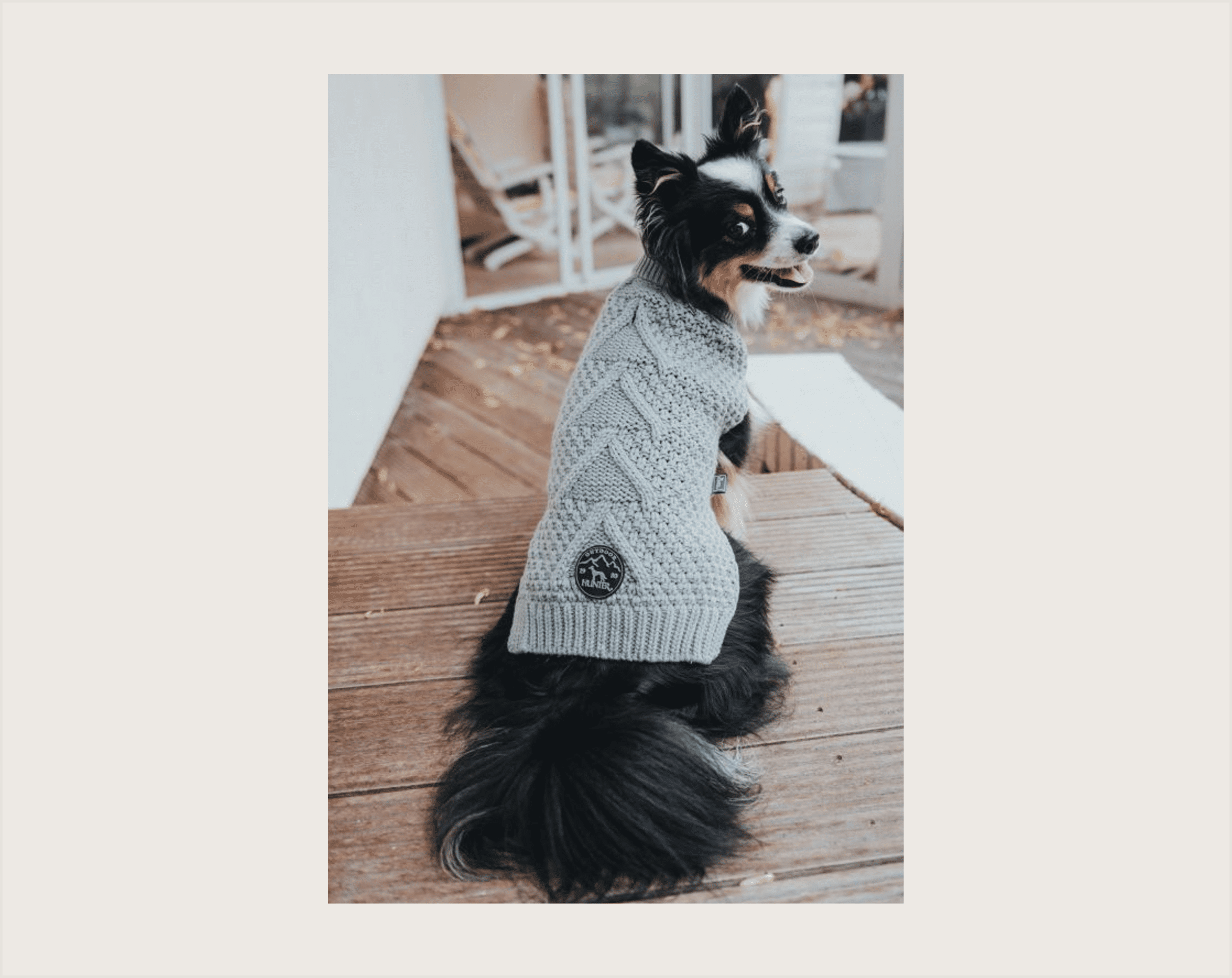 Hunter Pullover Dog Malmö - 1