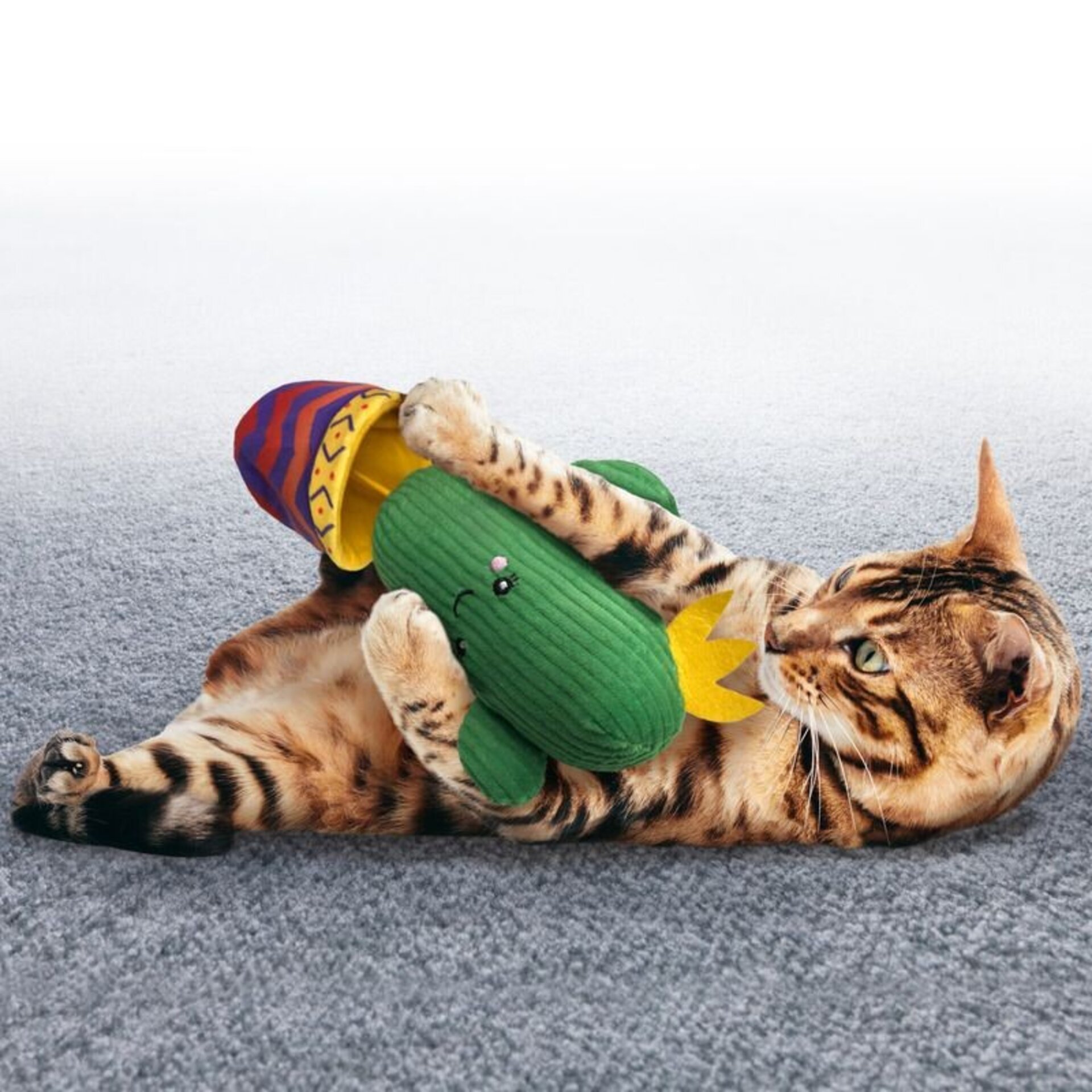 Peluche Kong Wrangler Cactus - 3
