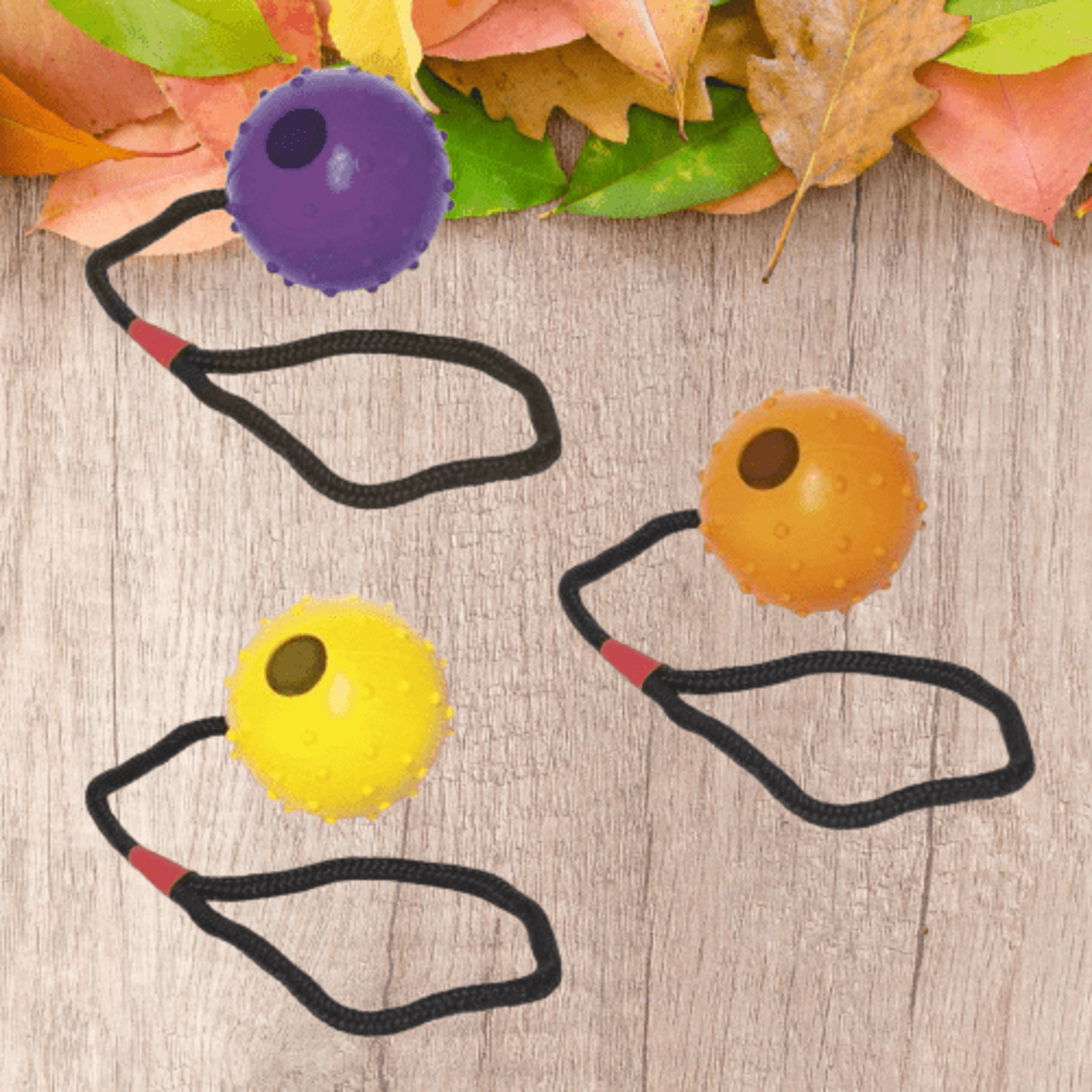 Pelota De Goma Con Cuerda - 1